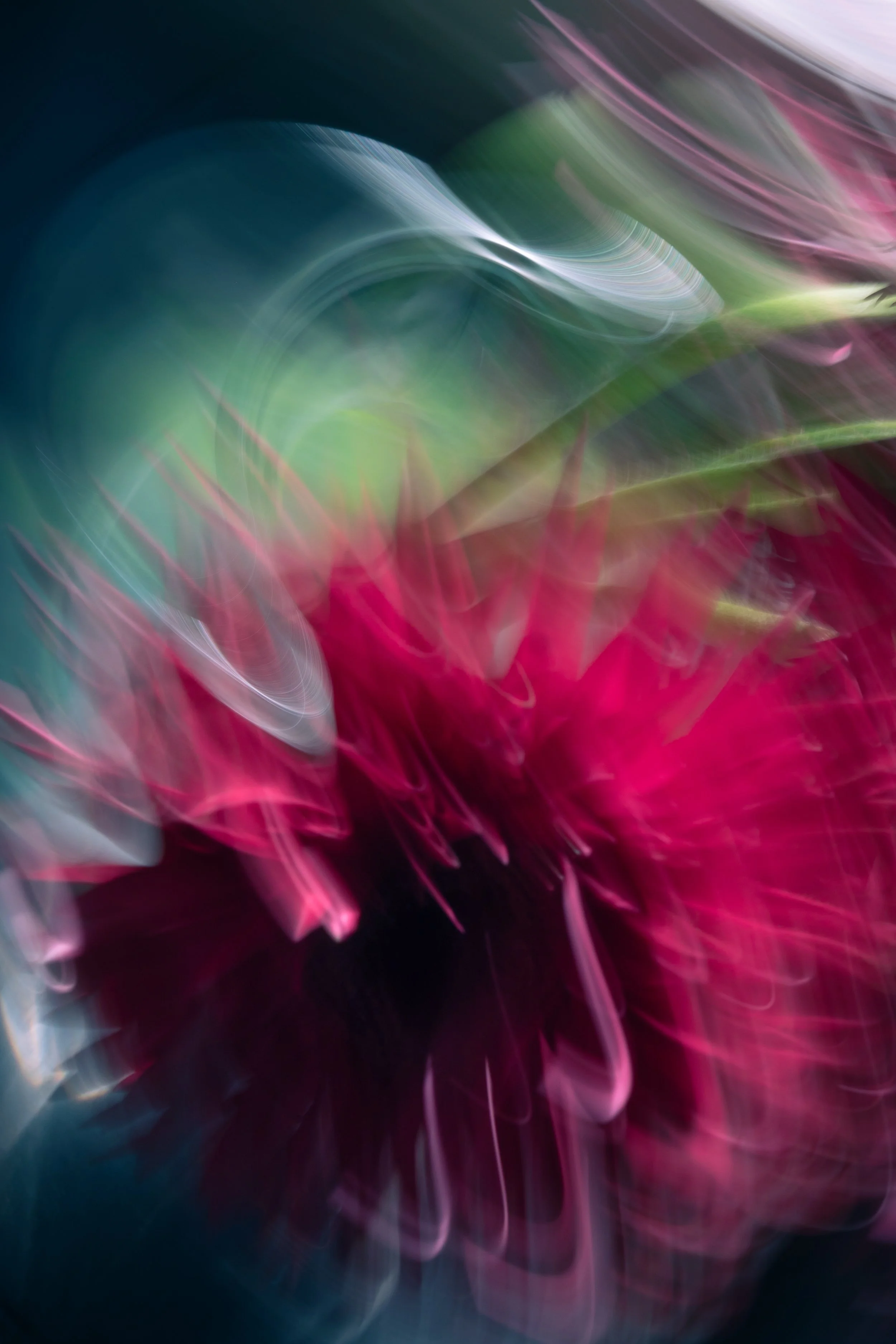 Swirls of Light, 2021