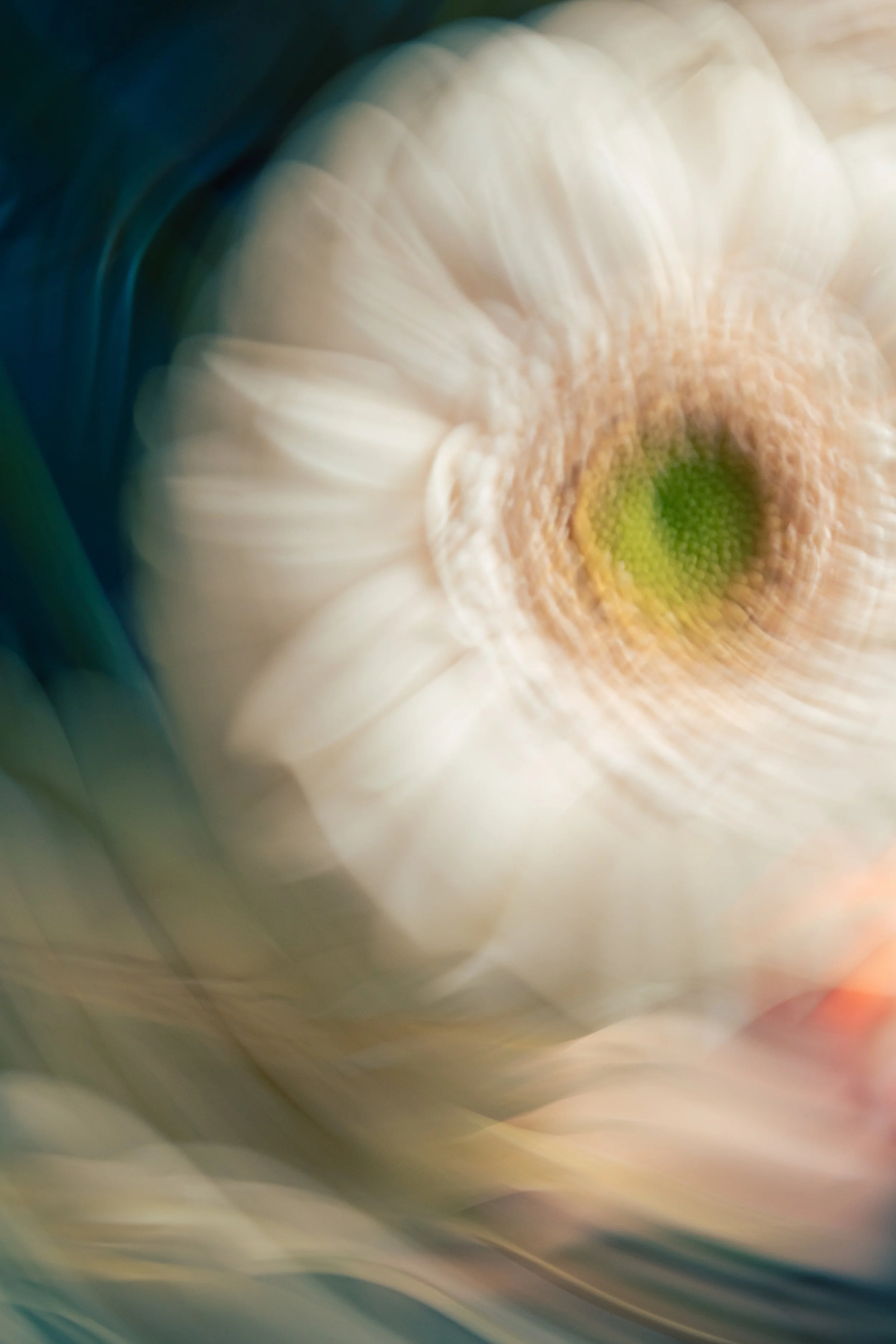 Caught in the Moment, 2021