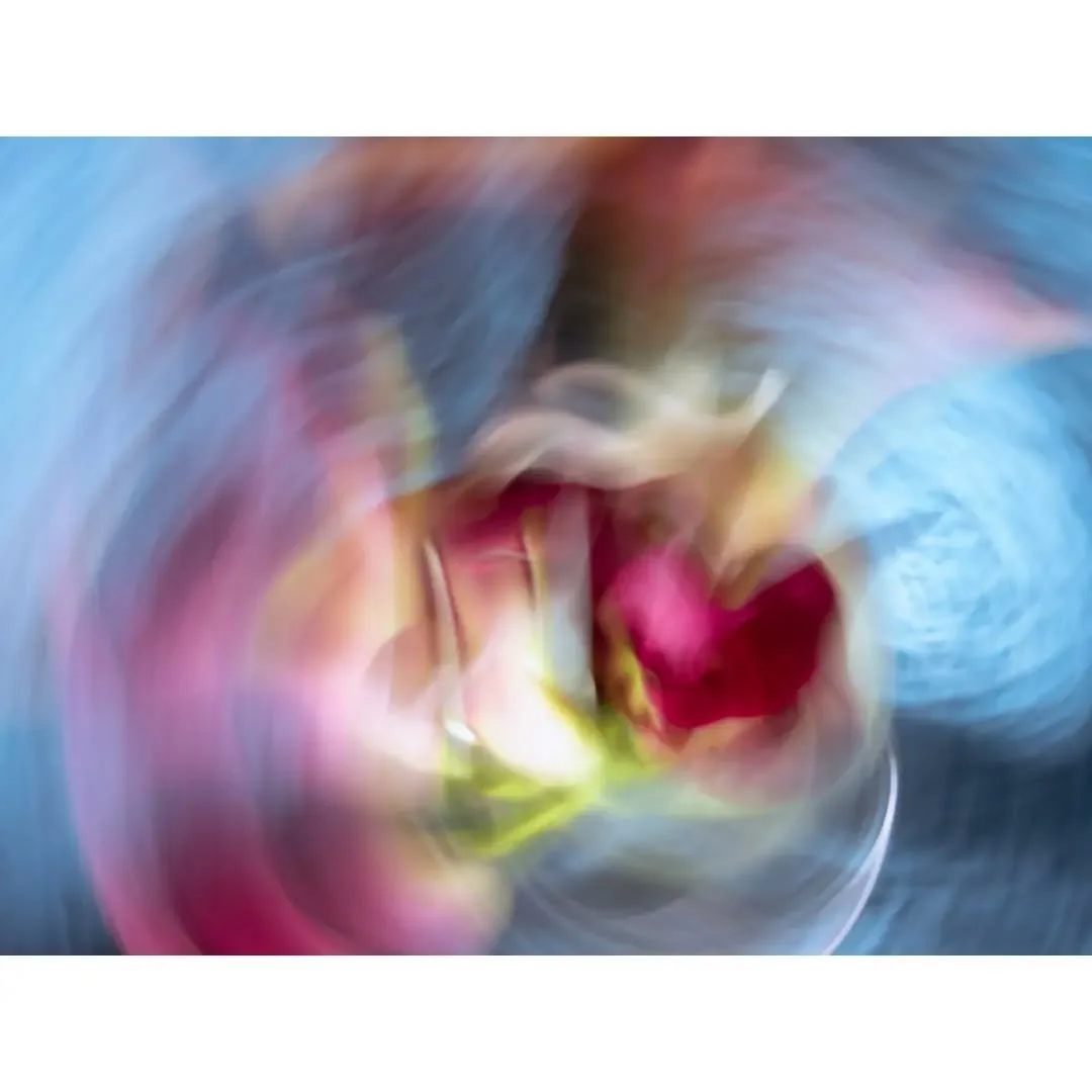 Nautilus impressions -:-:-:- this gives me "shells underwater" vibes, if that helps explain the title
.
.
.
#jaynahophotography #icm_community
#hintology #intentionalcameramovement #icmphotography #spectaculummagazine #todaysalternative #ab