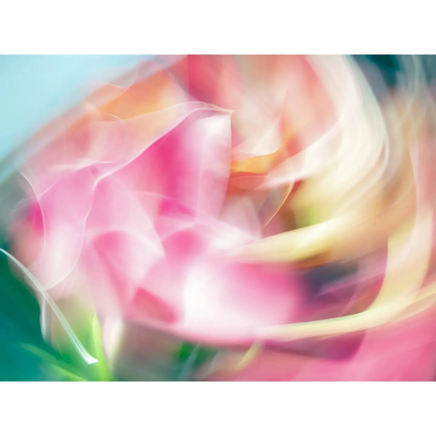 Amalgamation 
.
.
.
#jaynahophotography #icmphotography #icm_community #hintology #spectaculummagazine #intentionalcameramovement #bluronpurpose #blurwillsavetheworld #abstractexpressionism #abstractionism #abstracticm #abstractphotography #abstractp