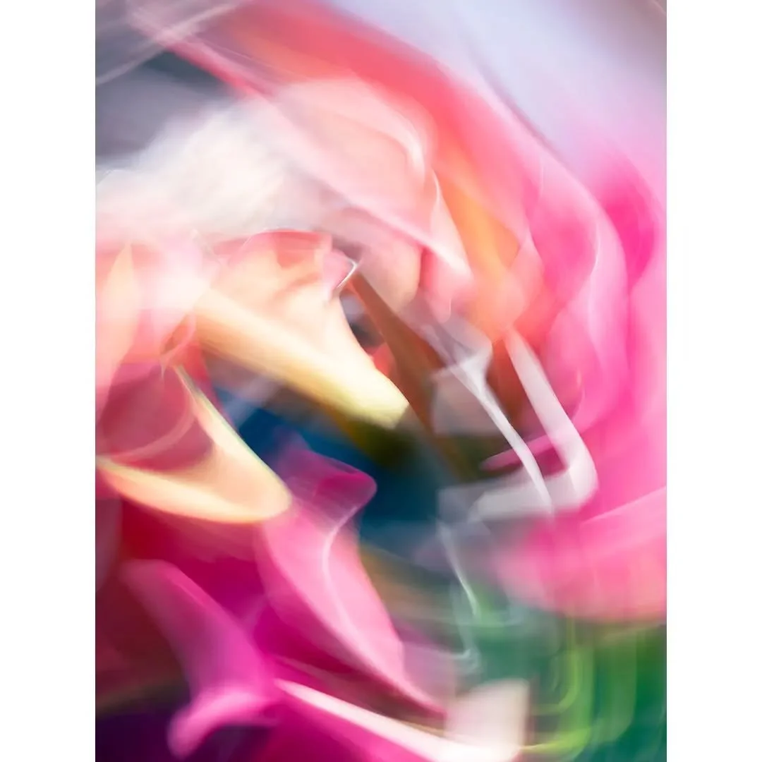 Spring Fever
.
.
.
#jaynahophotography #hintology #spectaculummagazine #icm_community #icmphotography #intentionalcameramovement #abstractexpressionism #abstractionism #abstracticm #blurwillsavetheworld #bluronpurpose #abstractphotography #abstractph