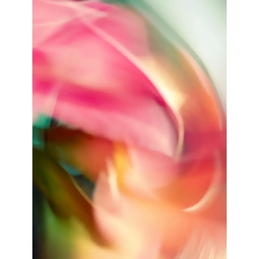 Intangible delineations -:-:- Perception is a curious thing. Something about this image suggests lines and boundaries to me. We can probably all agree that there are separate colors in this photo, but would we all draw the same lines of separation? L