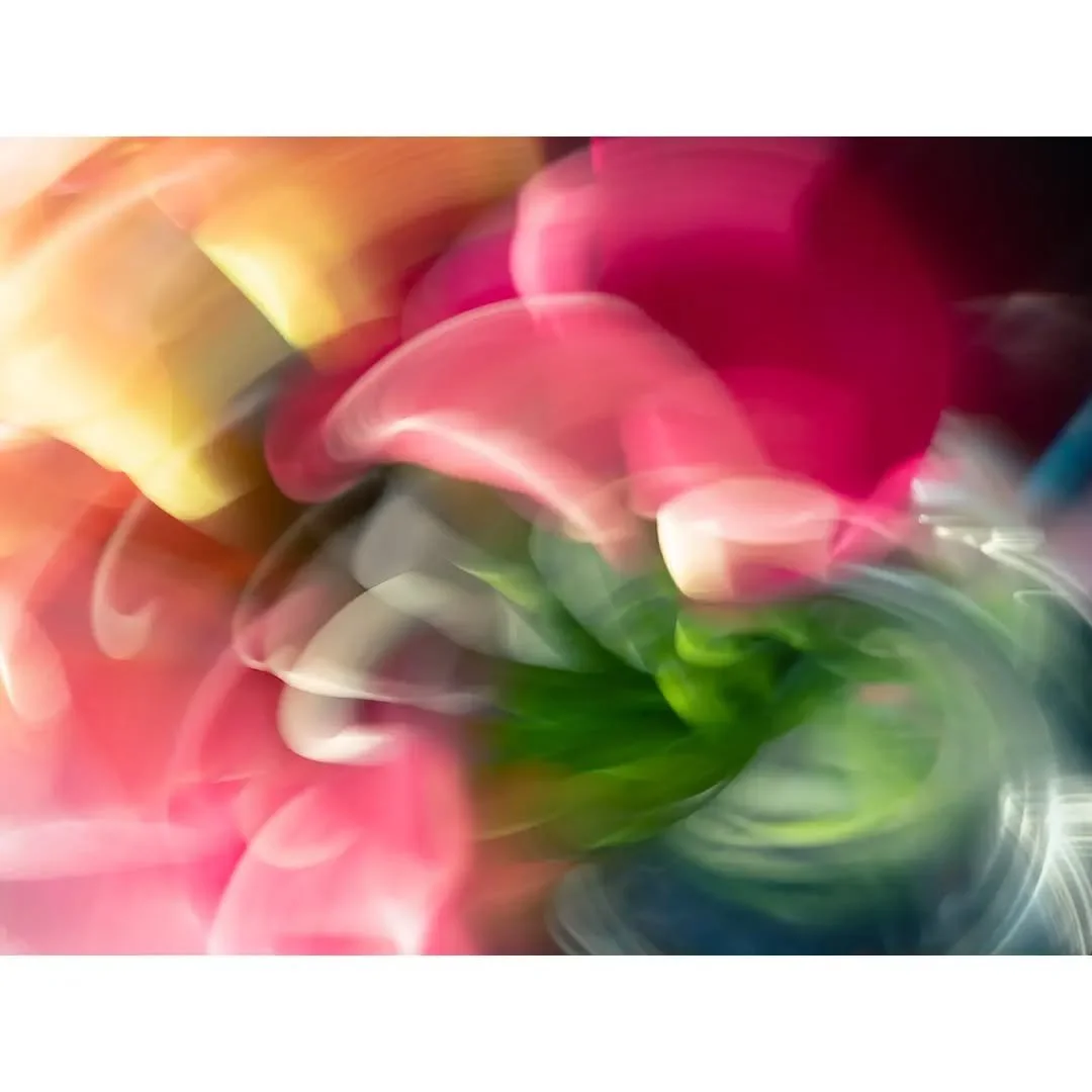 Calla lillies in a vase
.
.
.
#jaynahophotography #icm_community #hintology #icmphotography #intentionalcameramovement #blurwillsavetheworld #ihavethisthingwithflowers #abstractimpressionism #abstractflowers #bluronpurpose