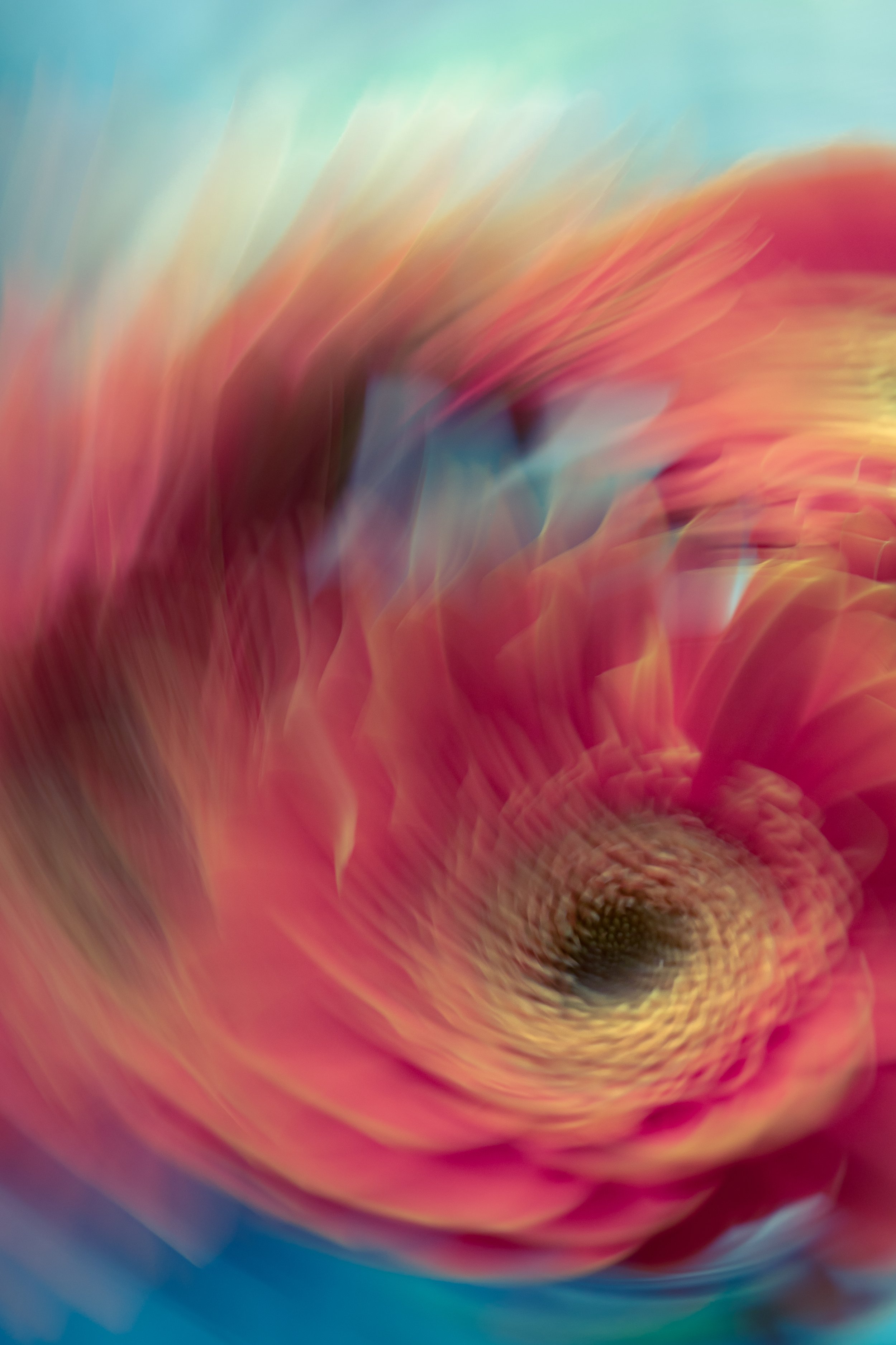 The Alchemy of Light, 2021