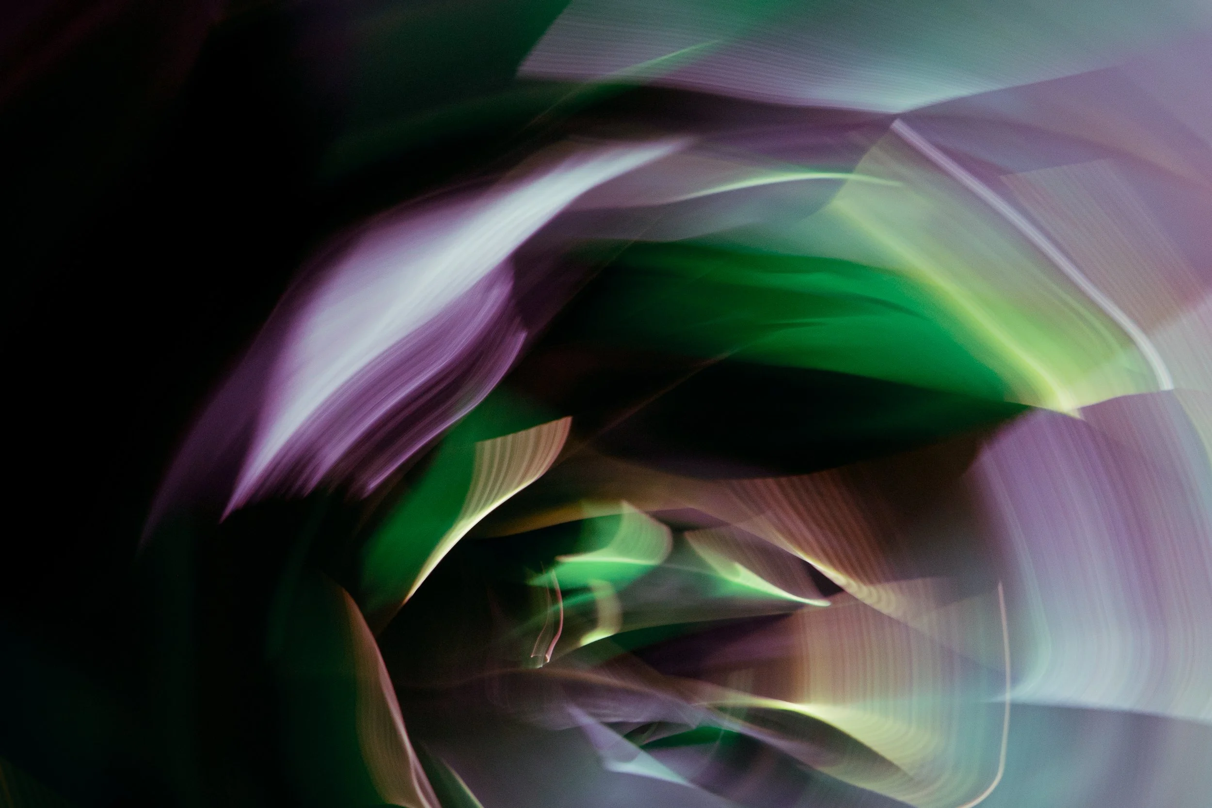 Violet Sprites, 2020