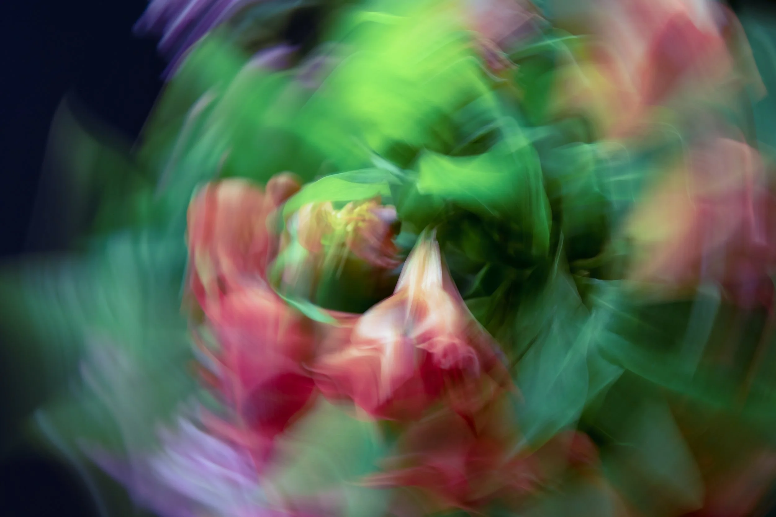 Floral Pinwheel, 2021