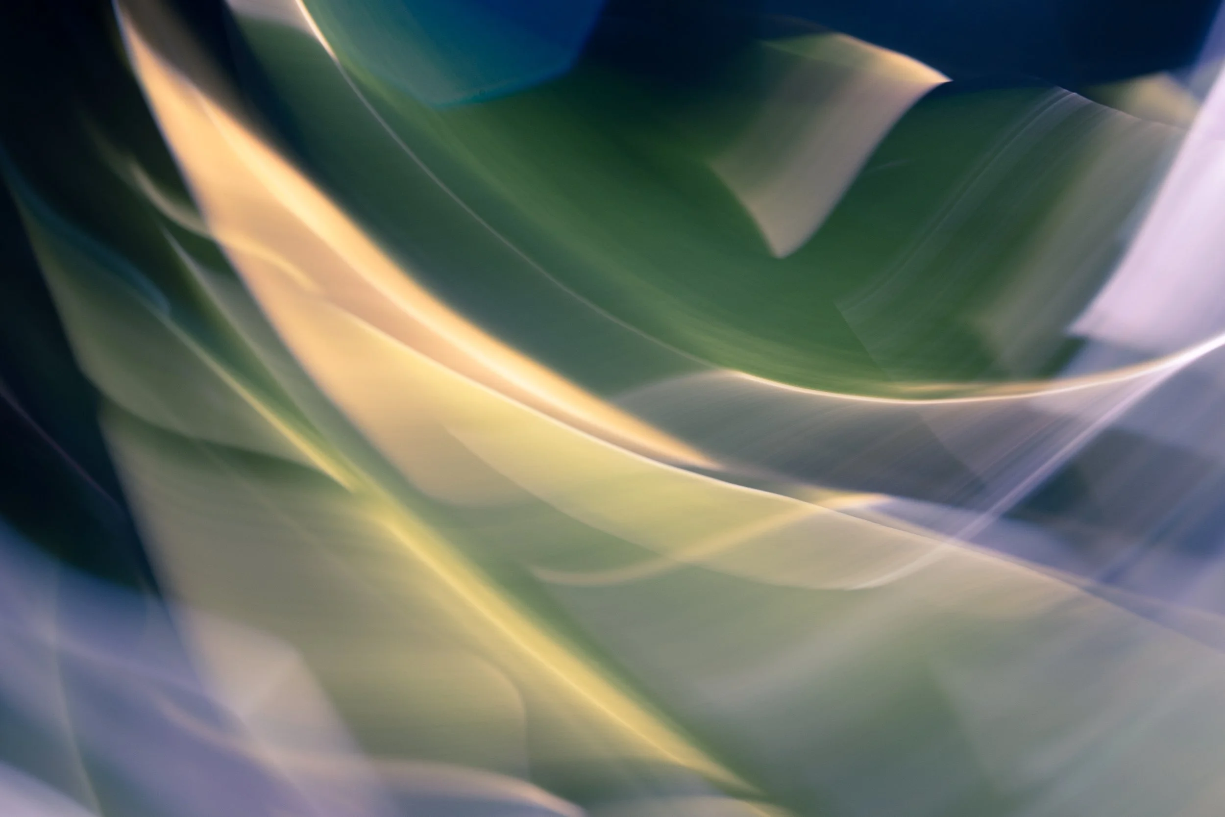 Morning Sunbeams, 2020