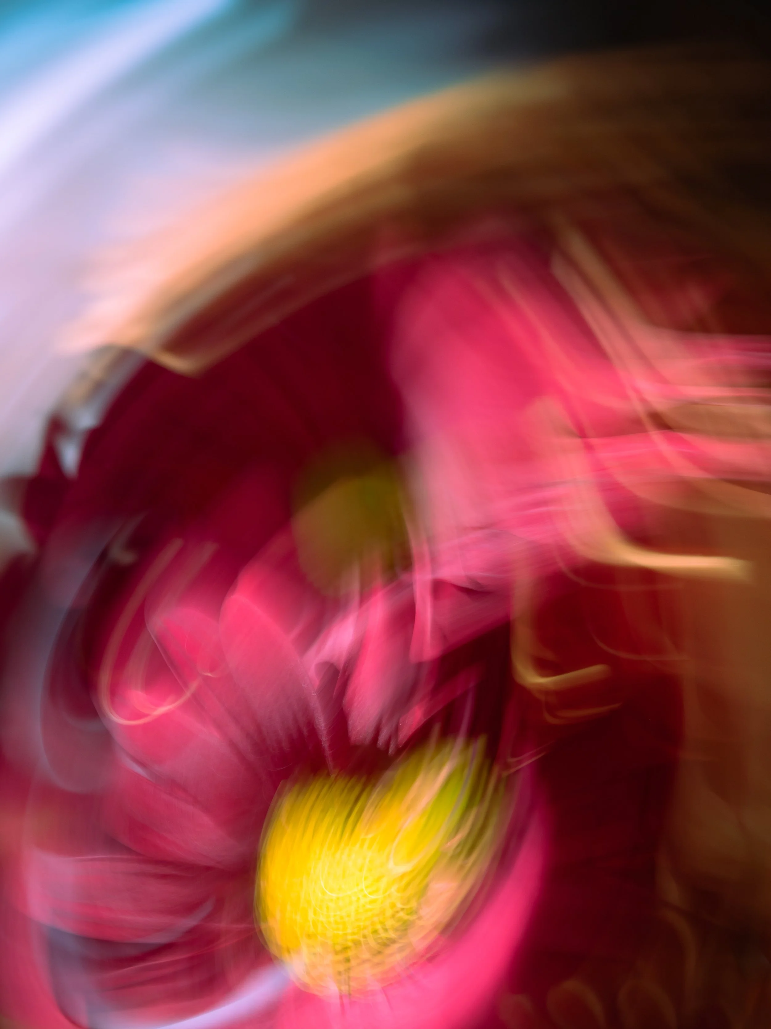 Vermillion on Blue, 2021