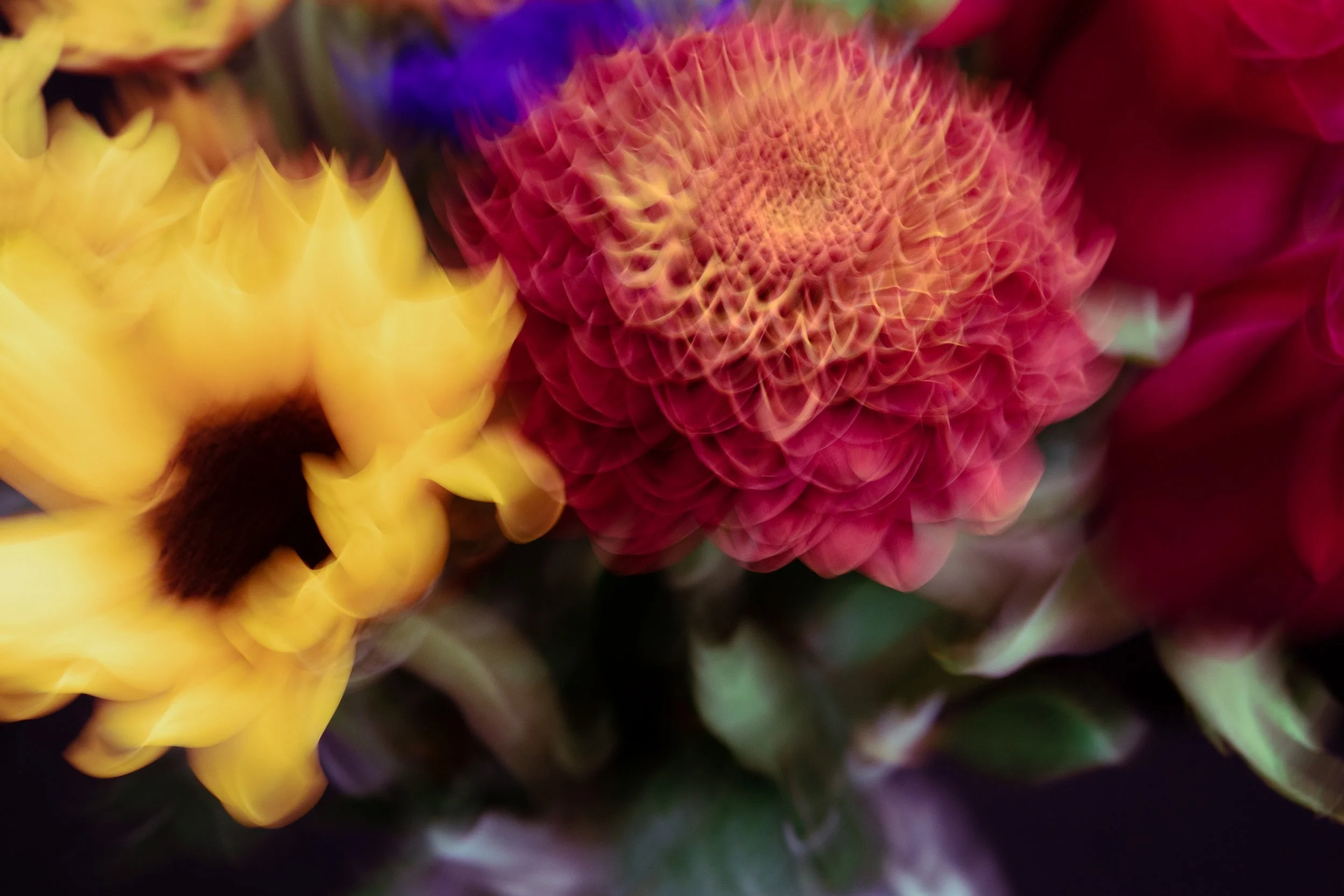 The Texture of Flowers, 2020