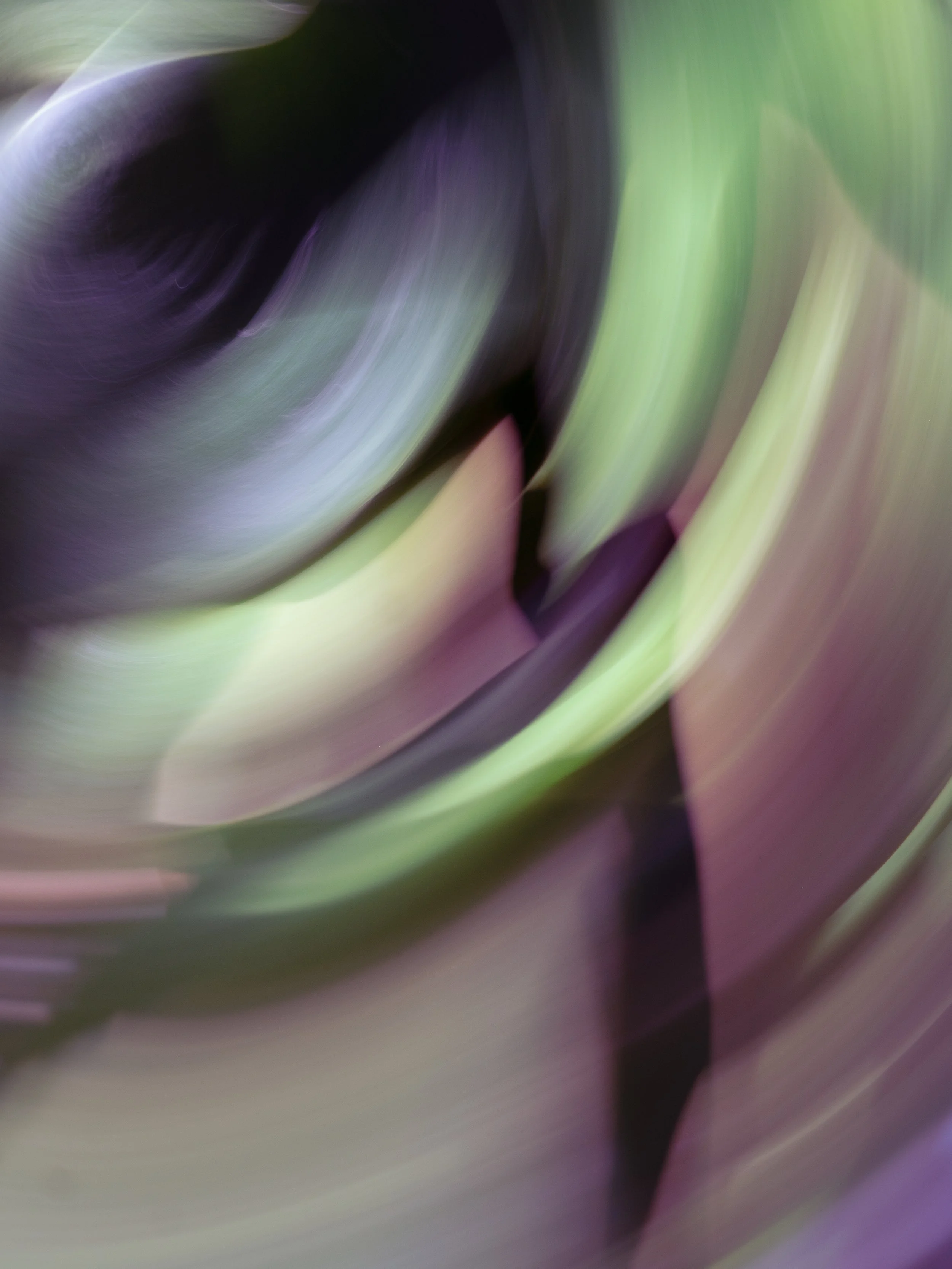 Pastel State of Mind, 2022