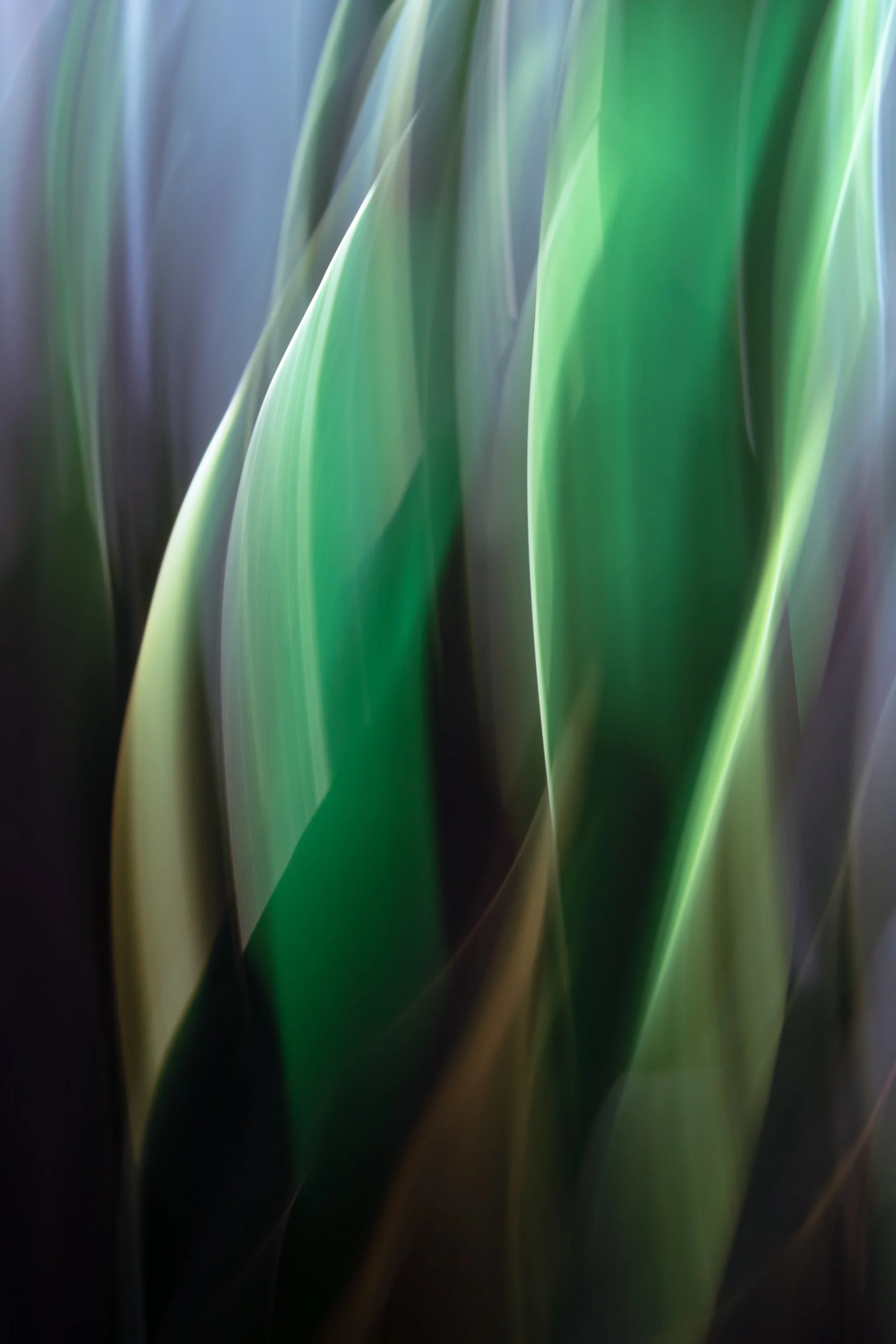 Twists of Green, 2020