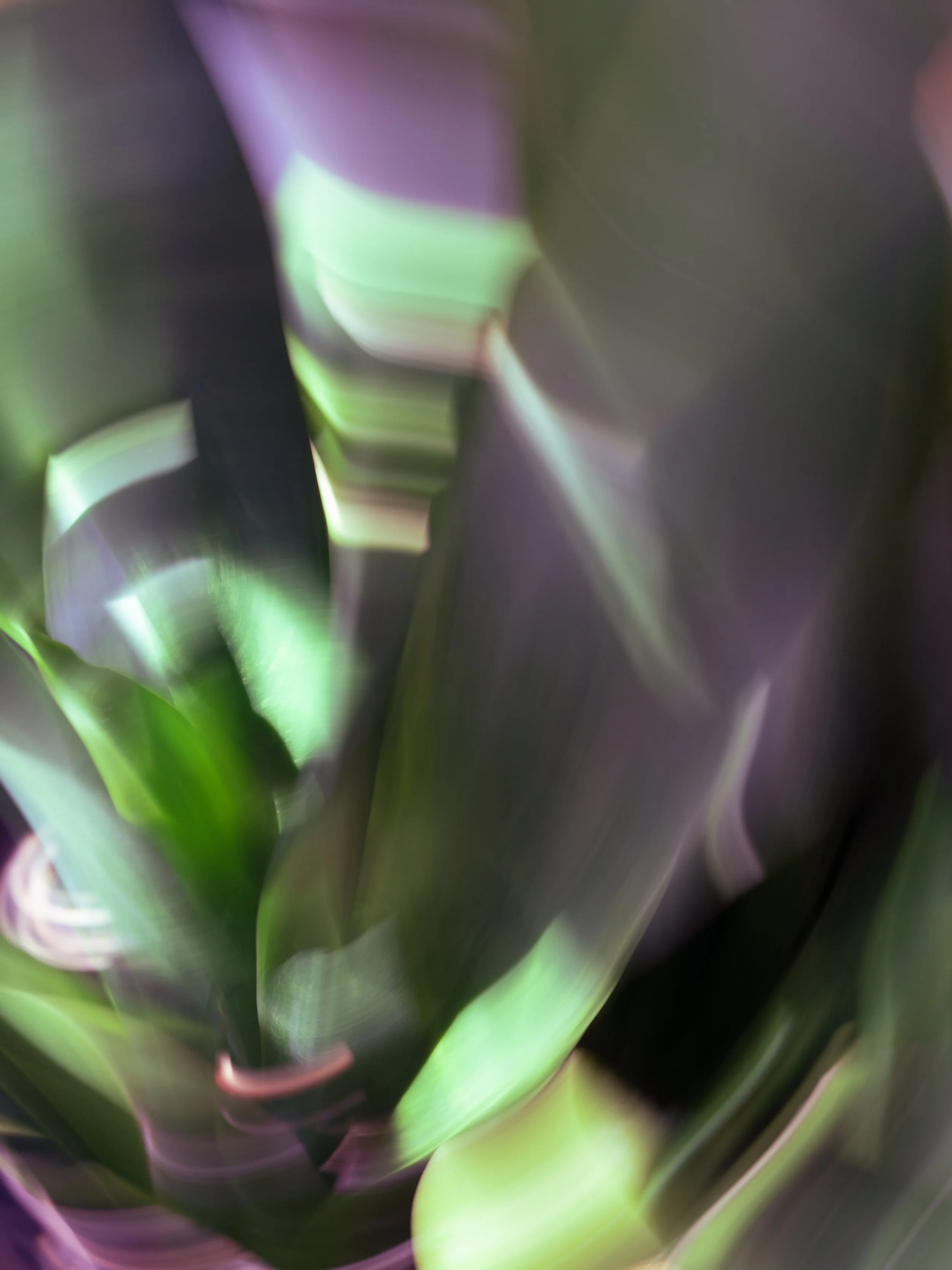 The Start of Spring, 2022