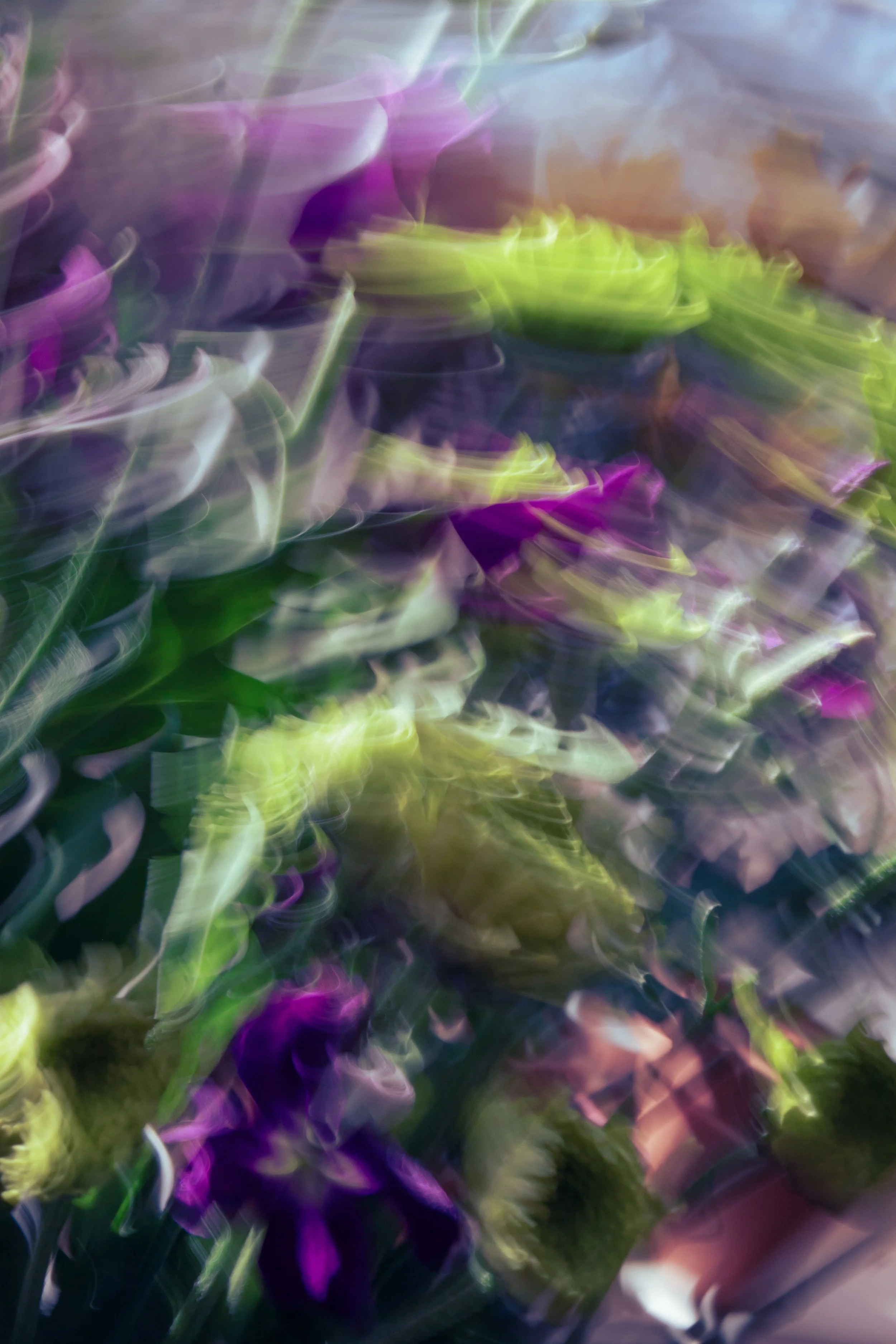 An Untamed Garden, 2021