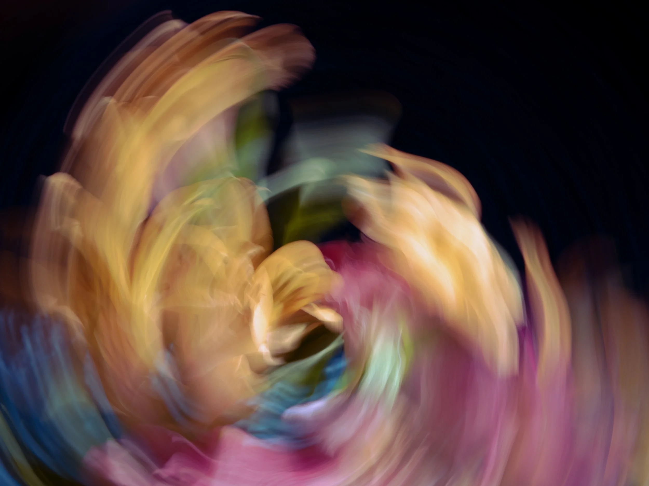 Birth of the Firebird, 2023