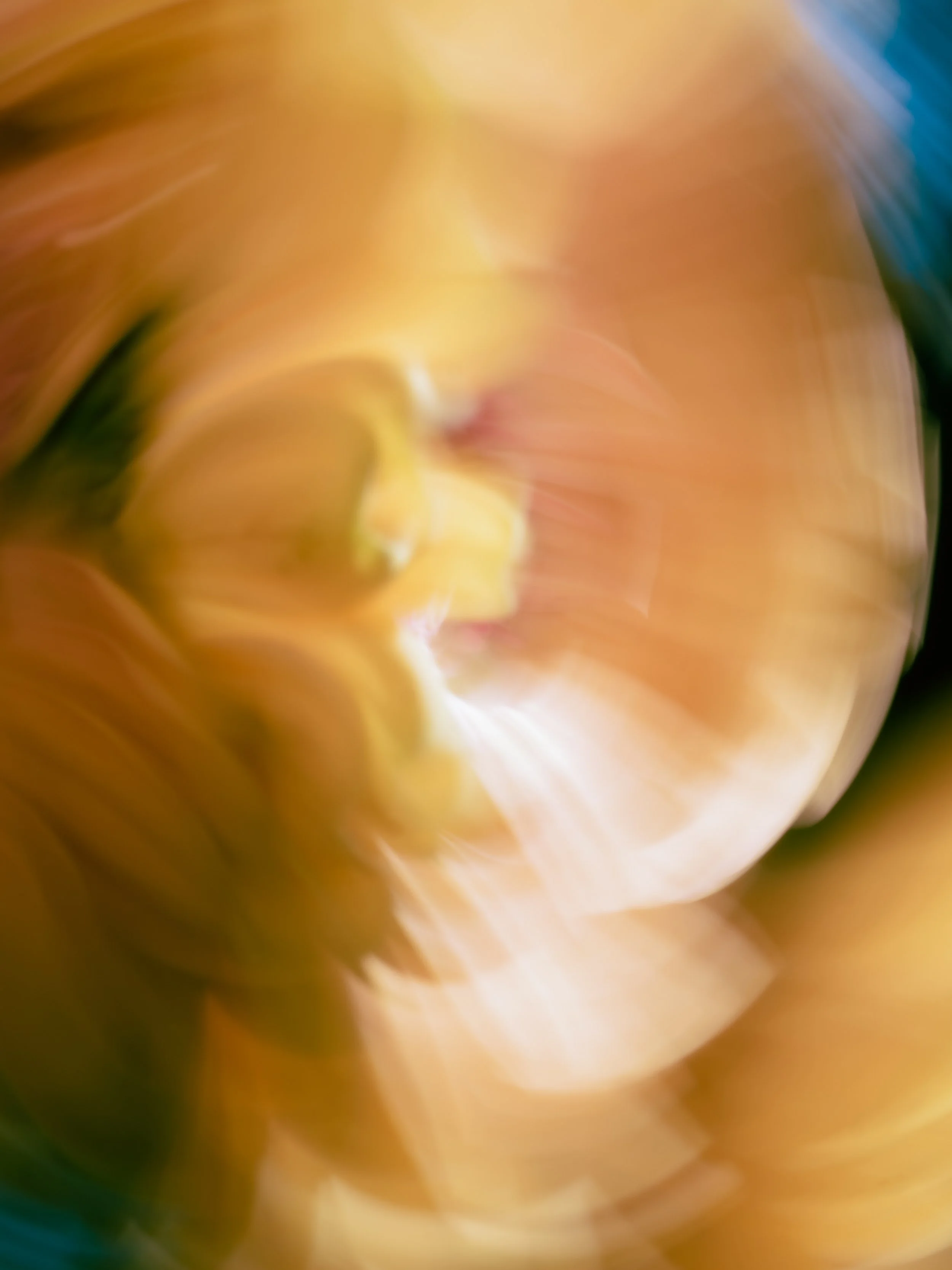 Yellow in Flux, 2023