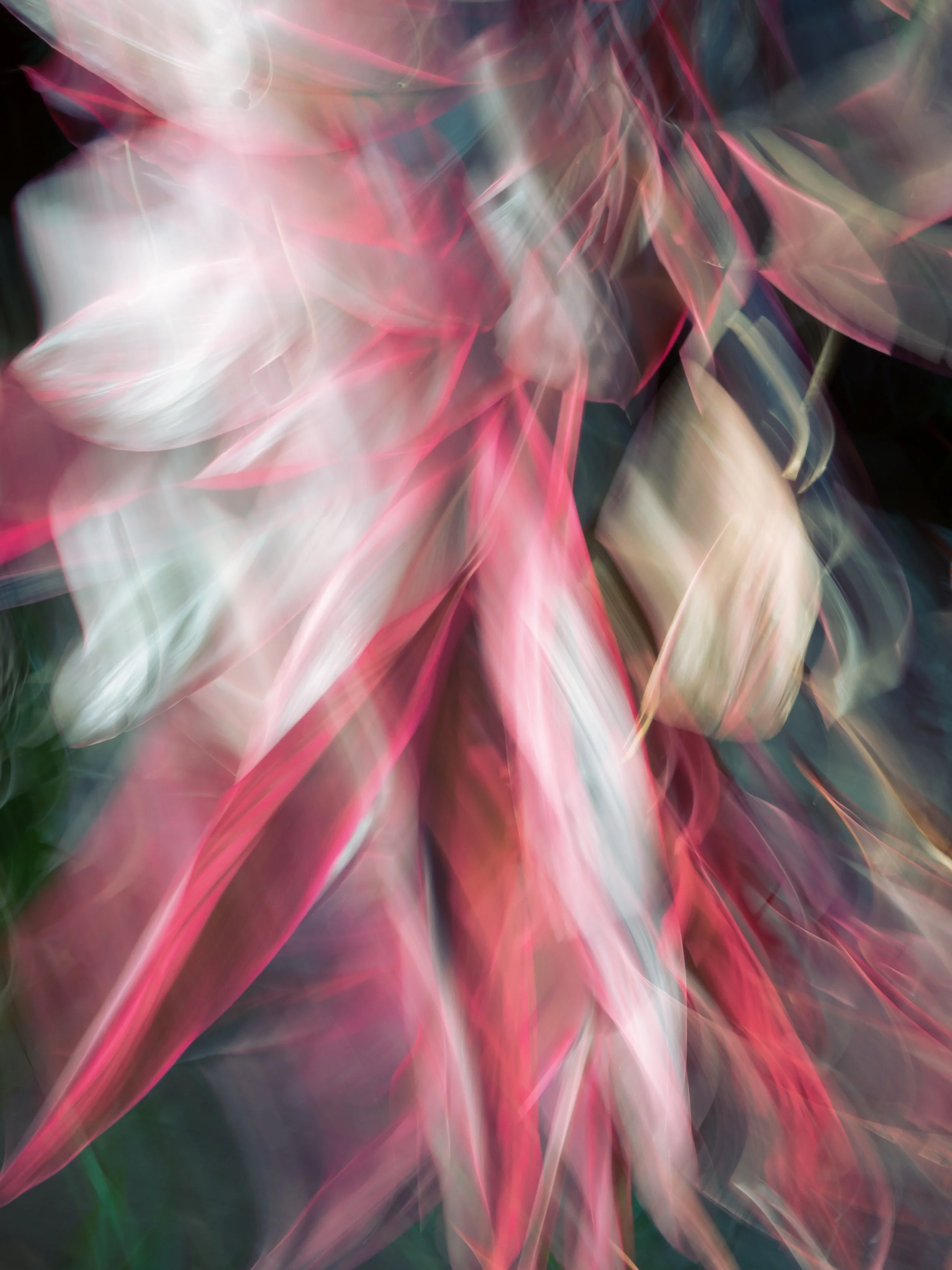 Euphoria in Pink, 2023