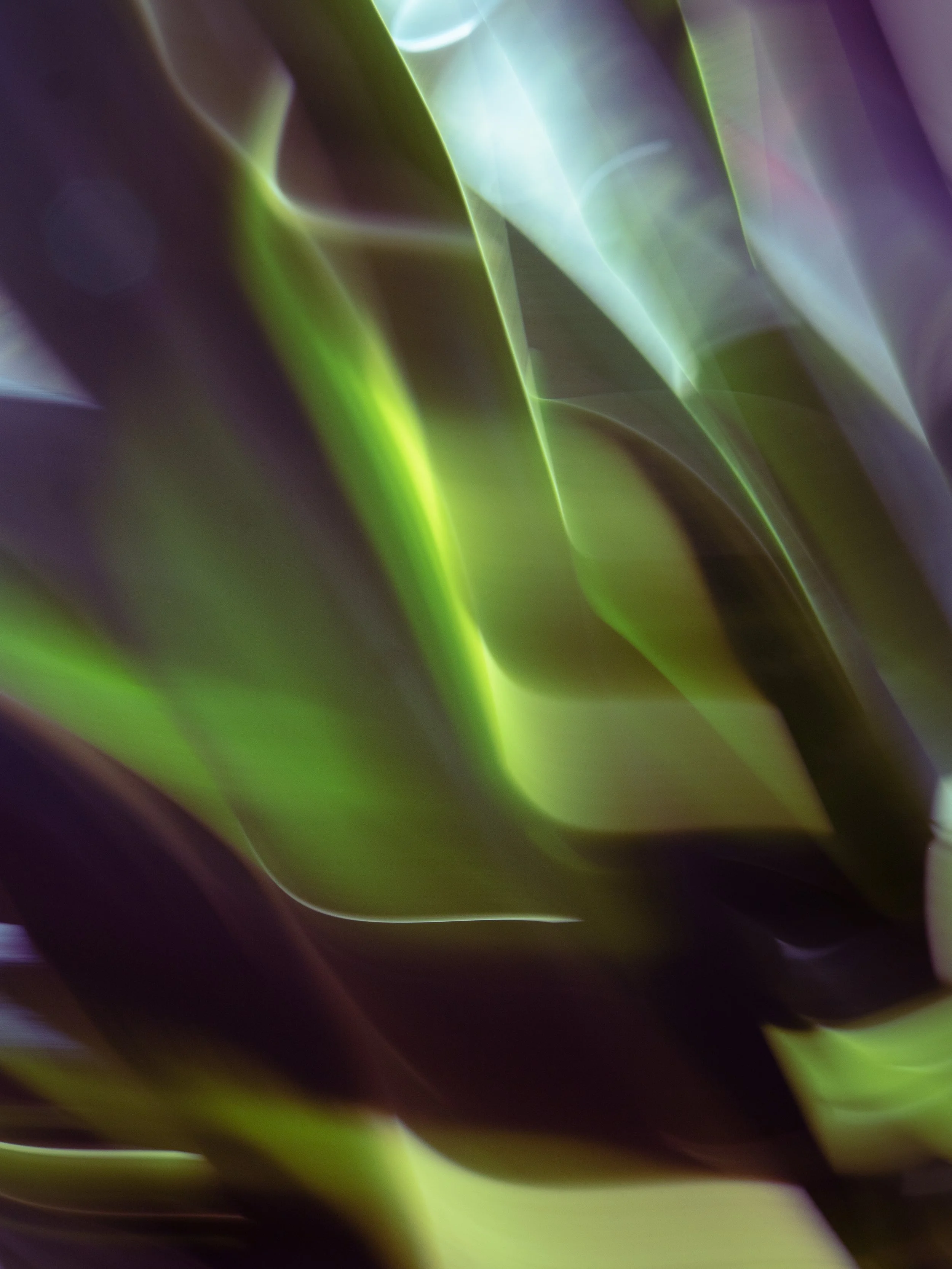 Ribbons of Light, 2022