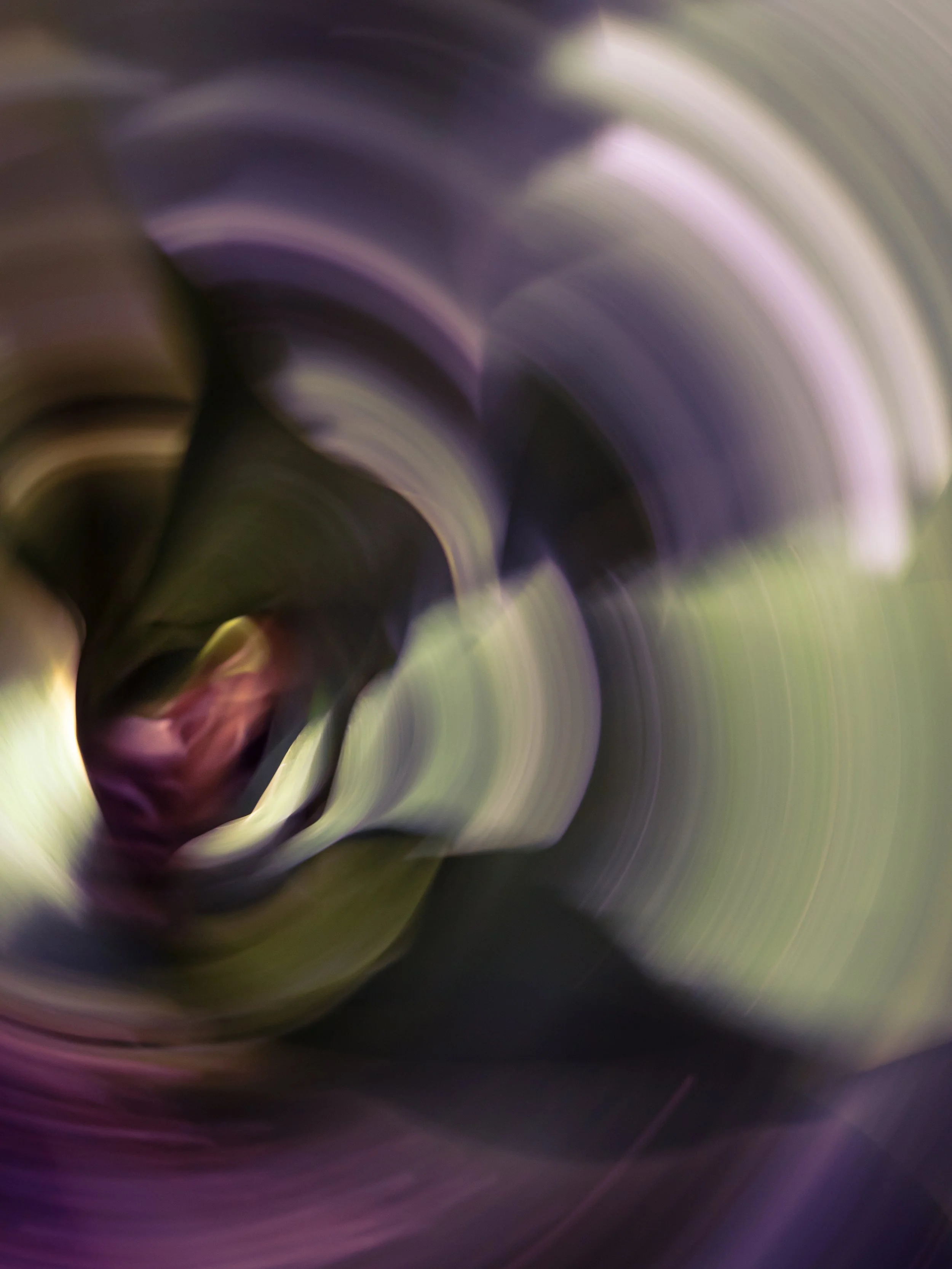 As Summer Fades to Fall, 2021