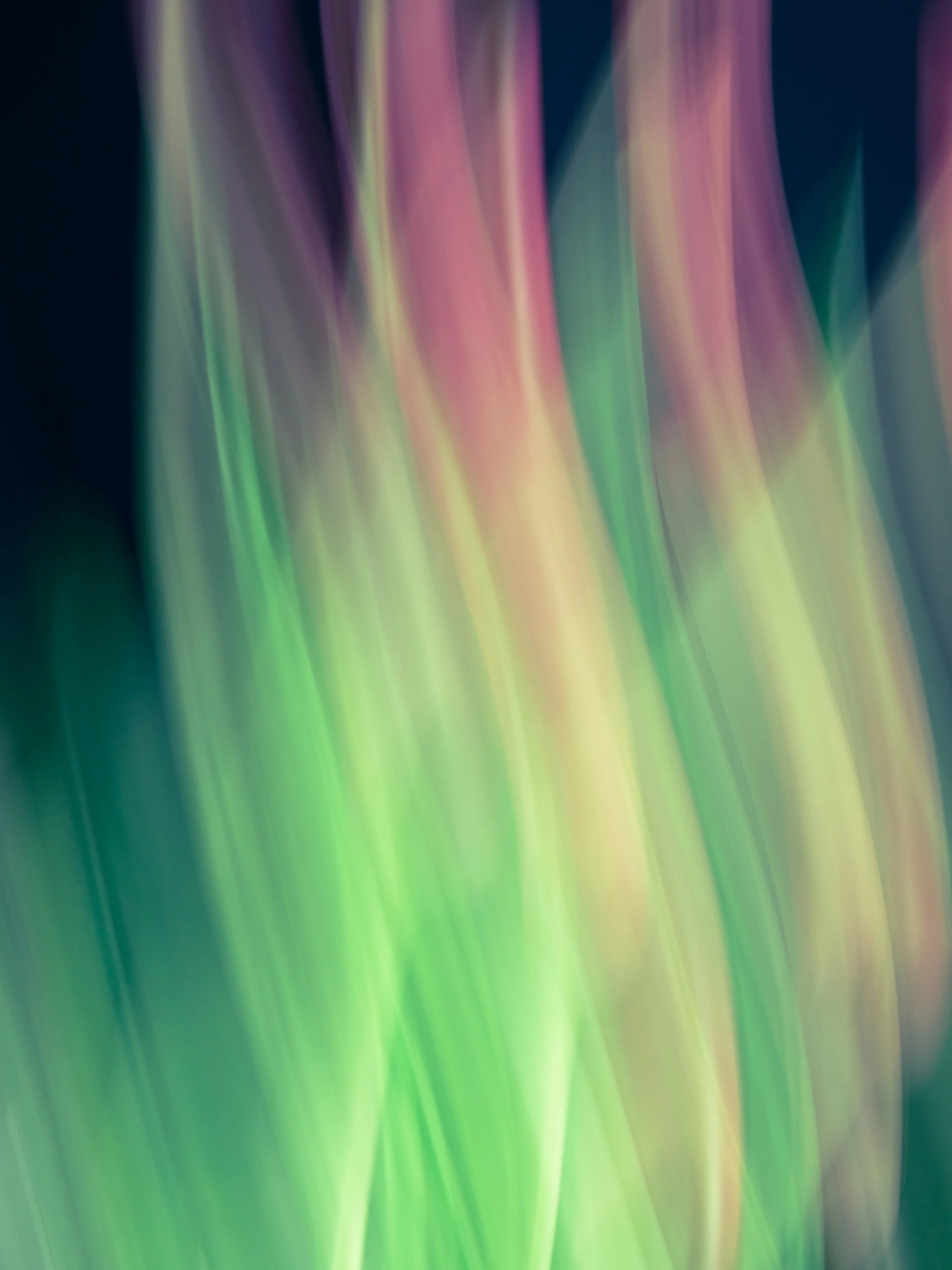 Floral Color Field, 2021