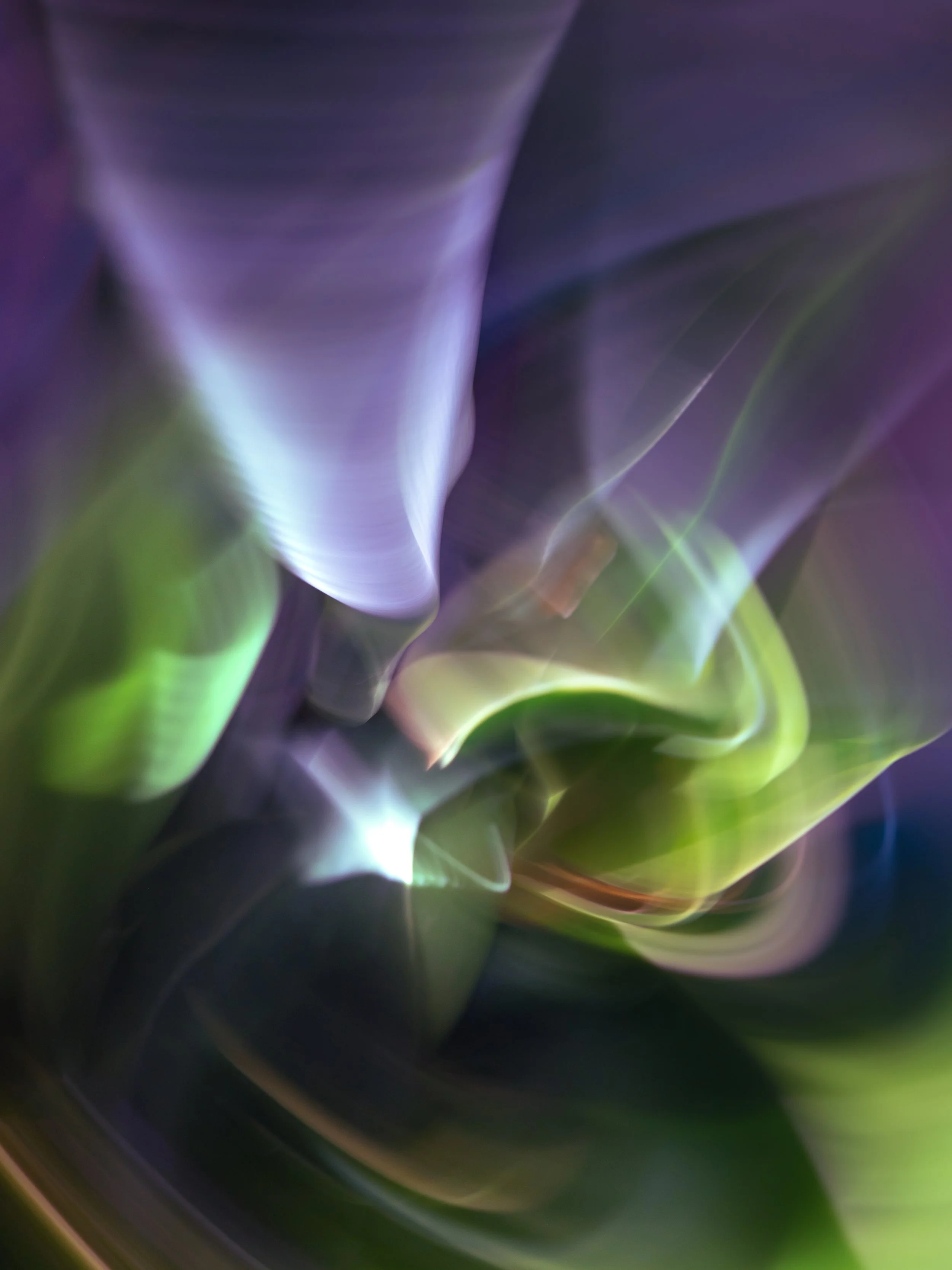 Formation of a Star, 2021