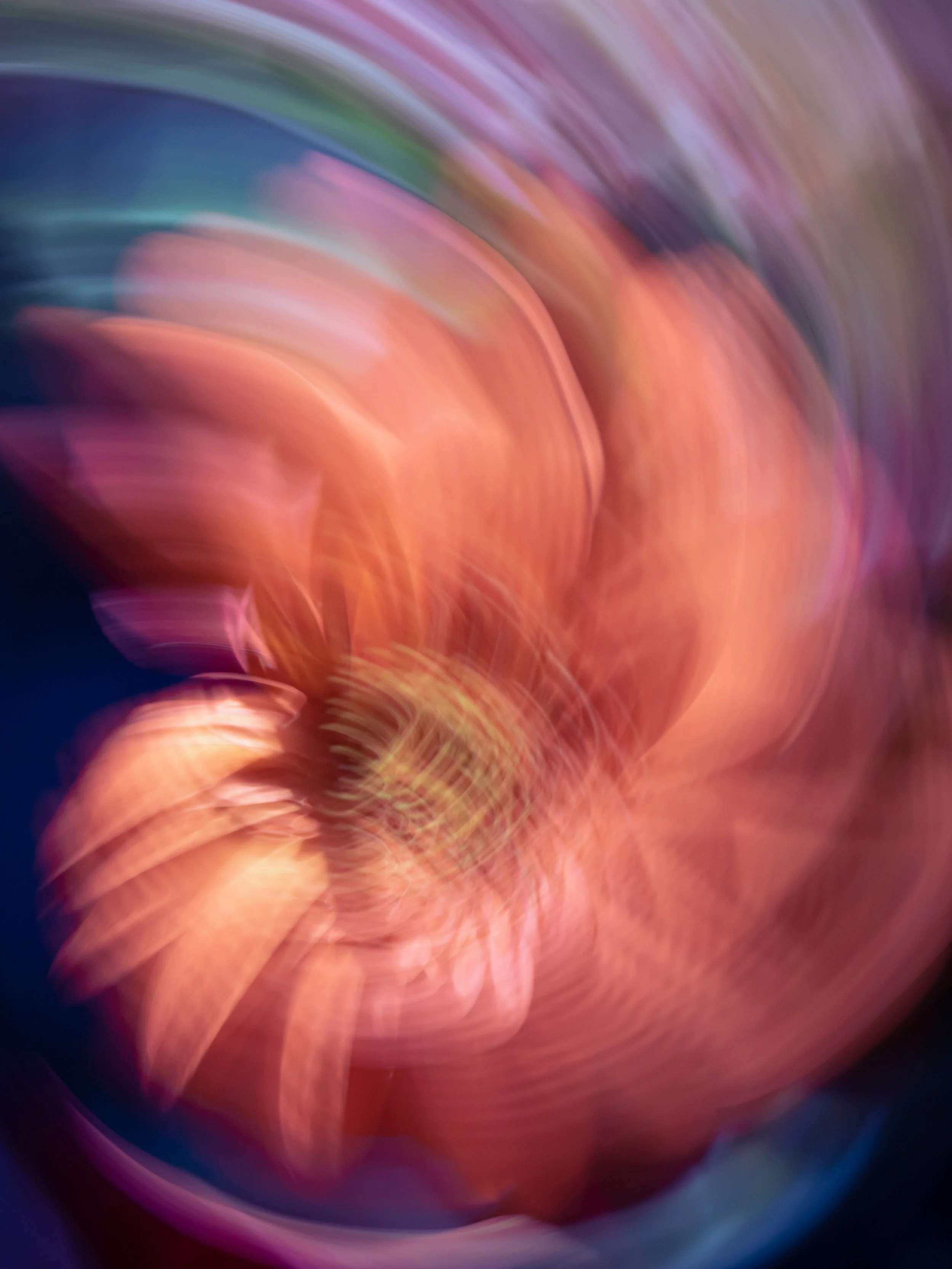 Falling in to Sweet Dreams, 2021