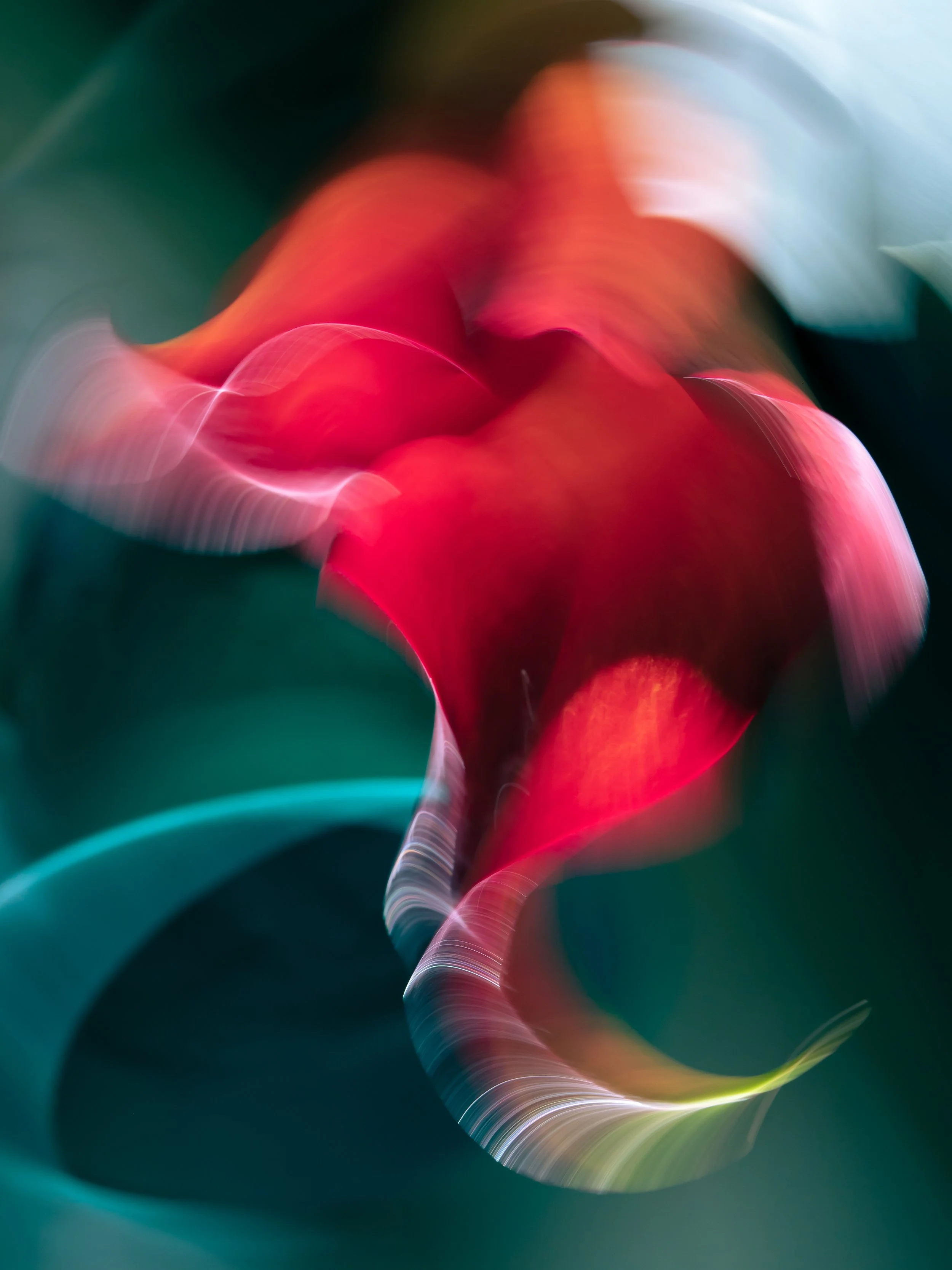 The Sinuous Path of Light, 2021