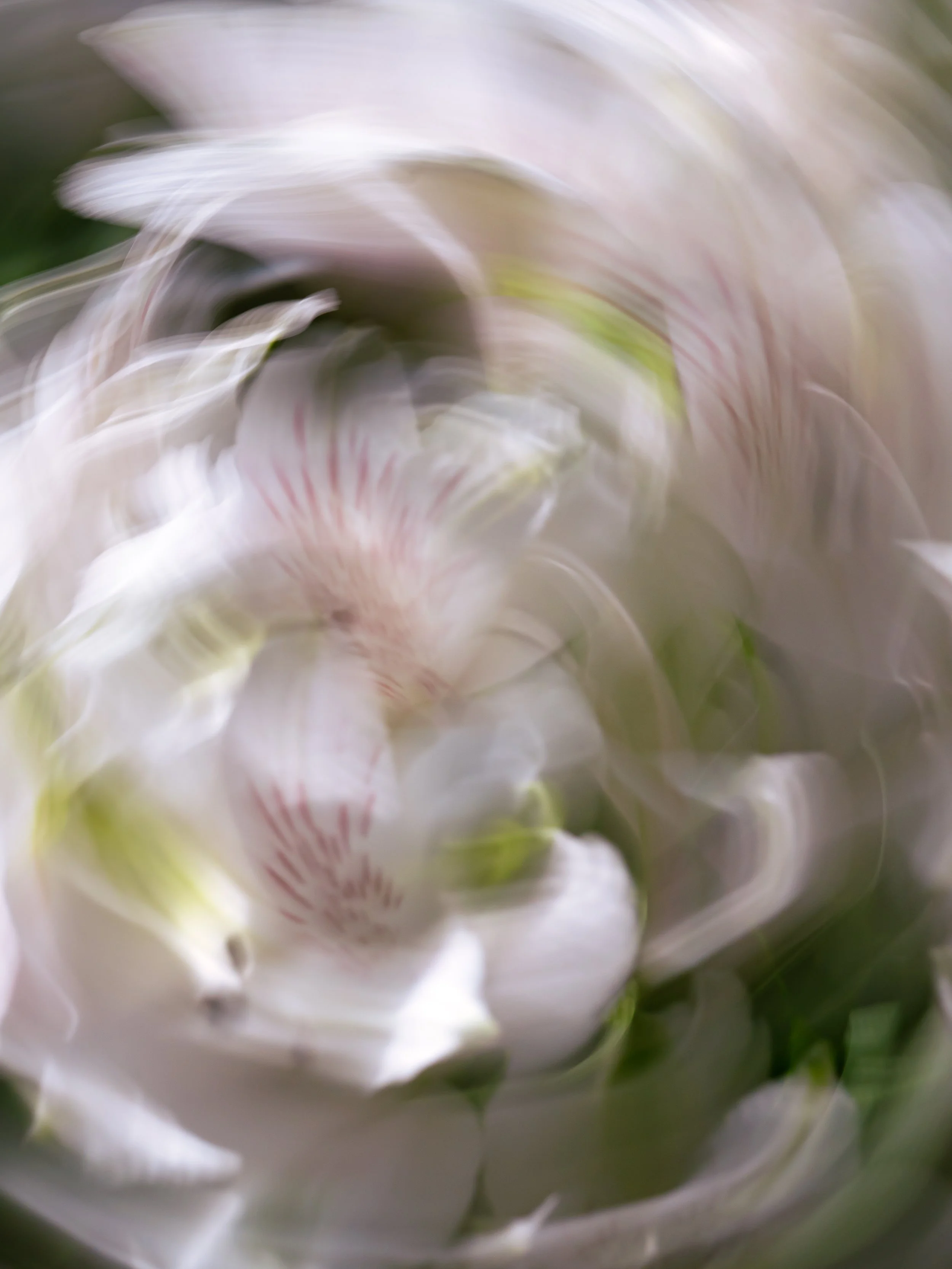 Ethereal Delirium, 2022