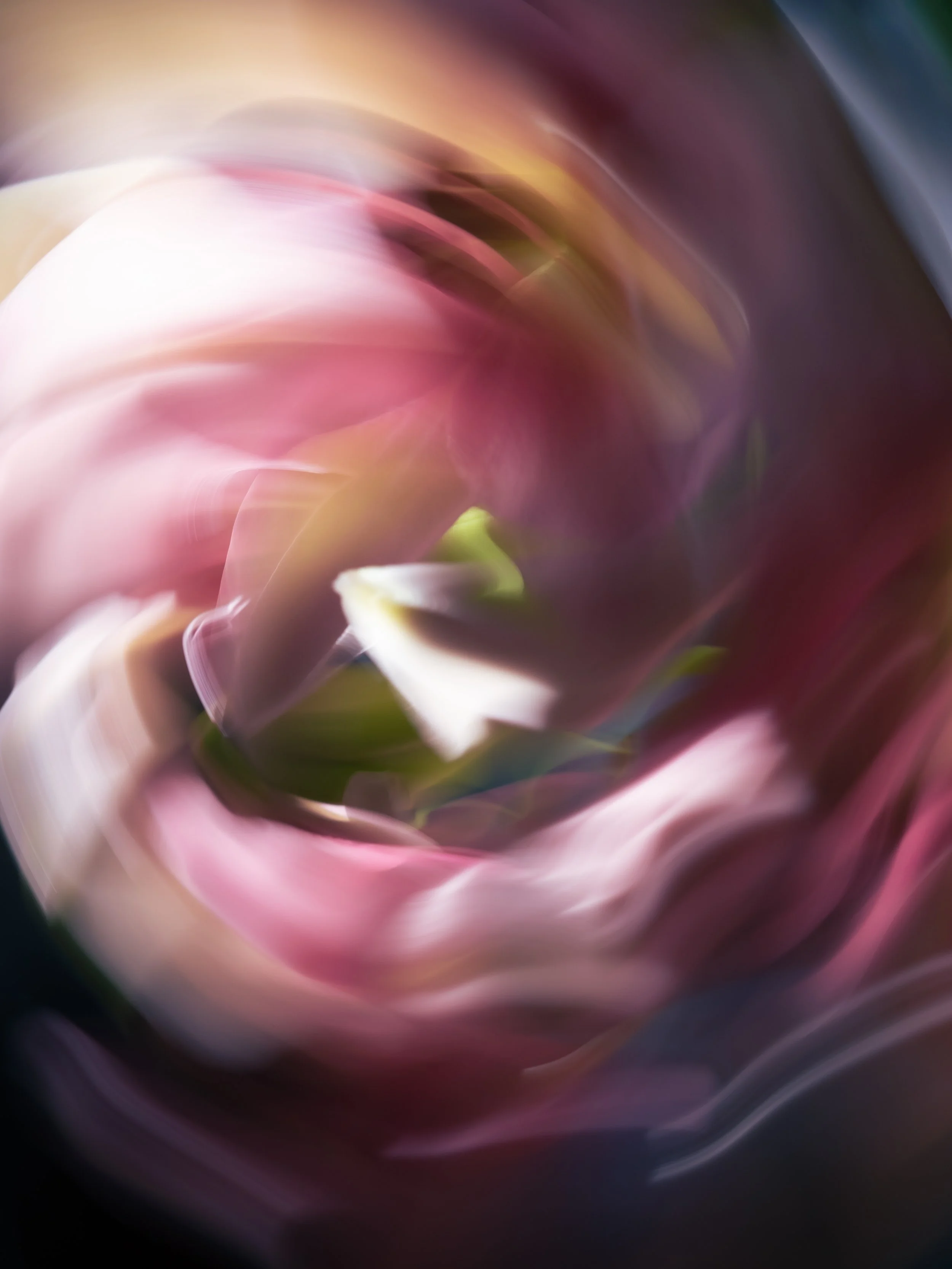 The Quiet Colors of Dawn's Light, 2022