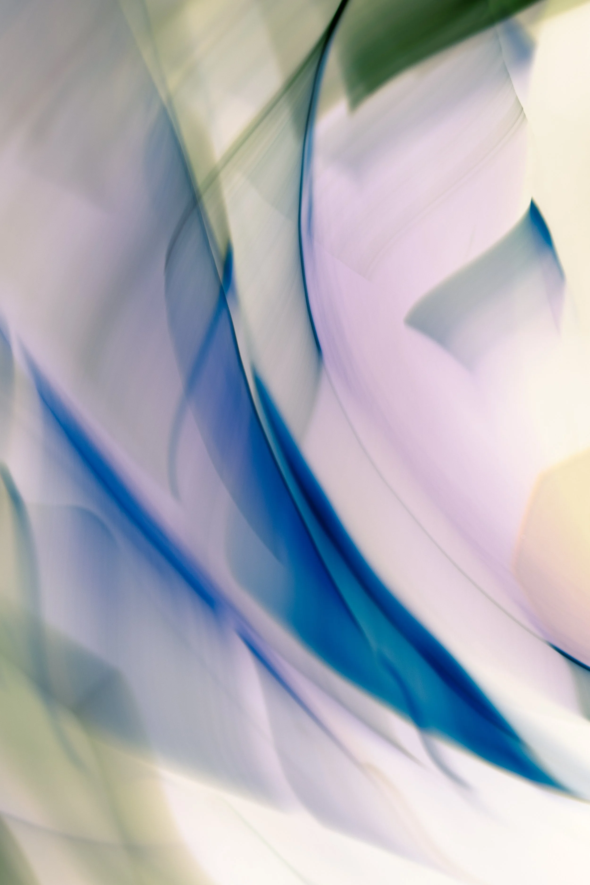 A Spill of Blue, 2020