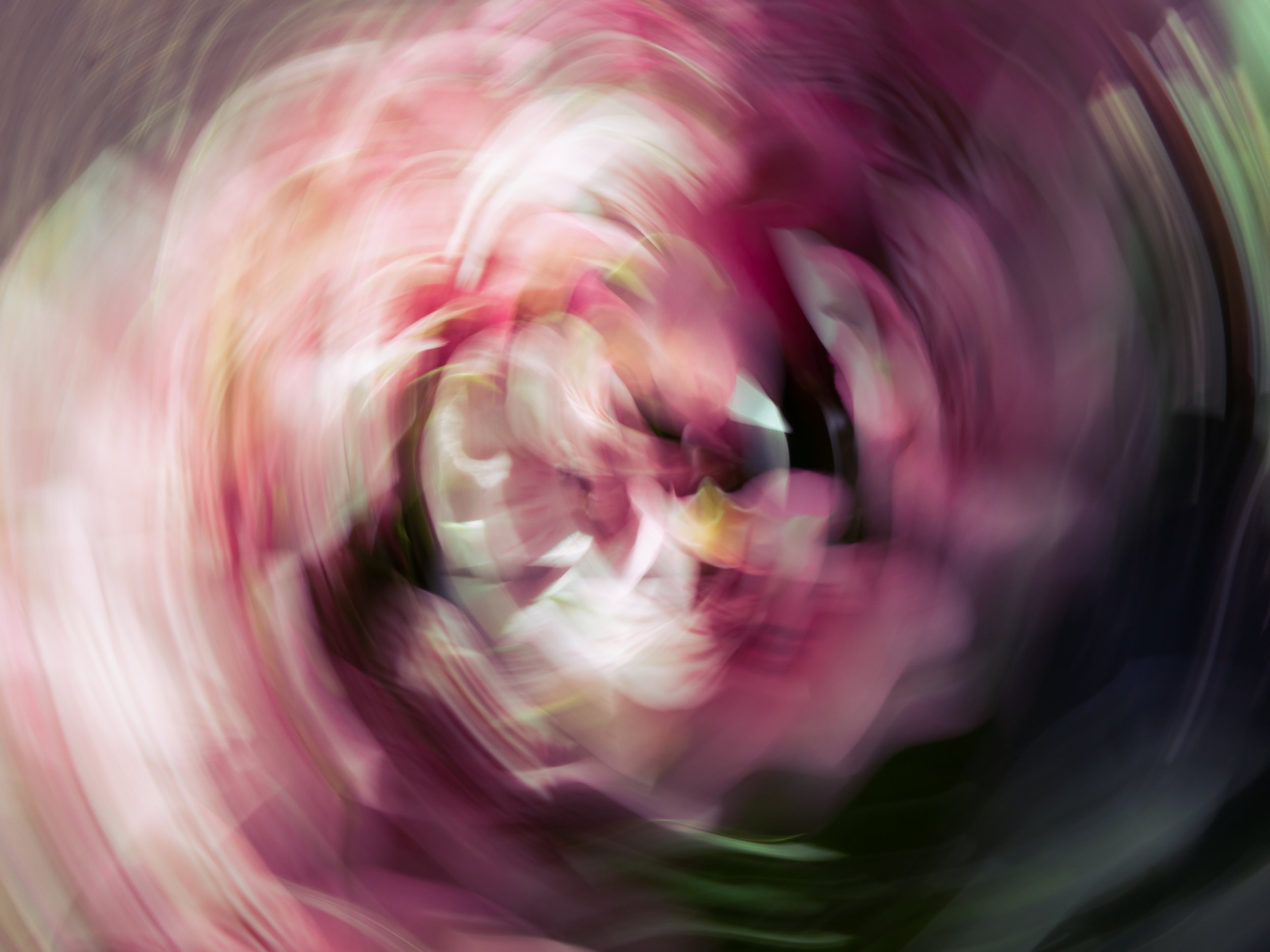 Magenta Dripping Through the Cracks, 2021