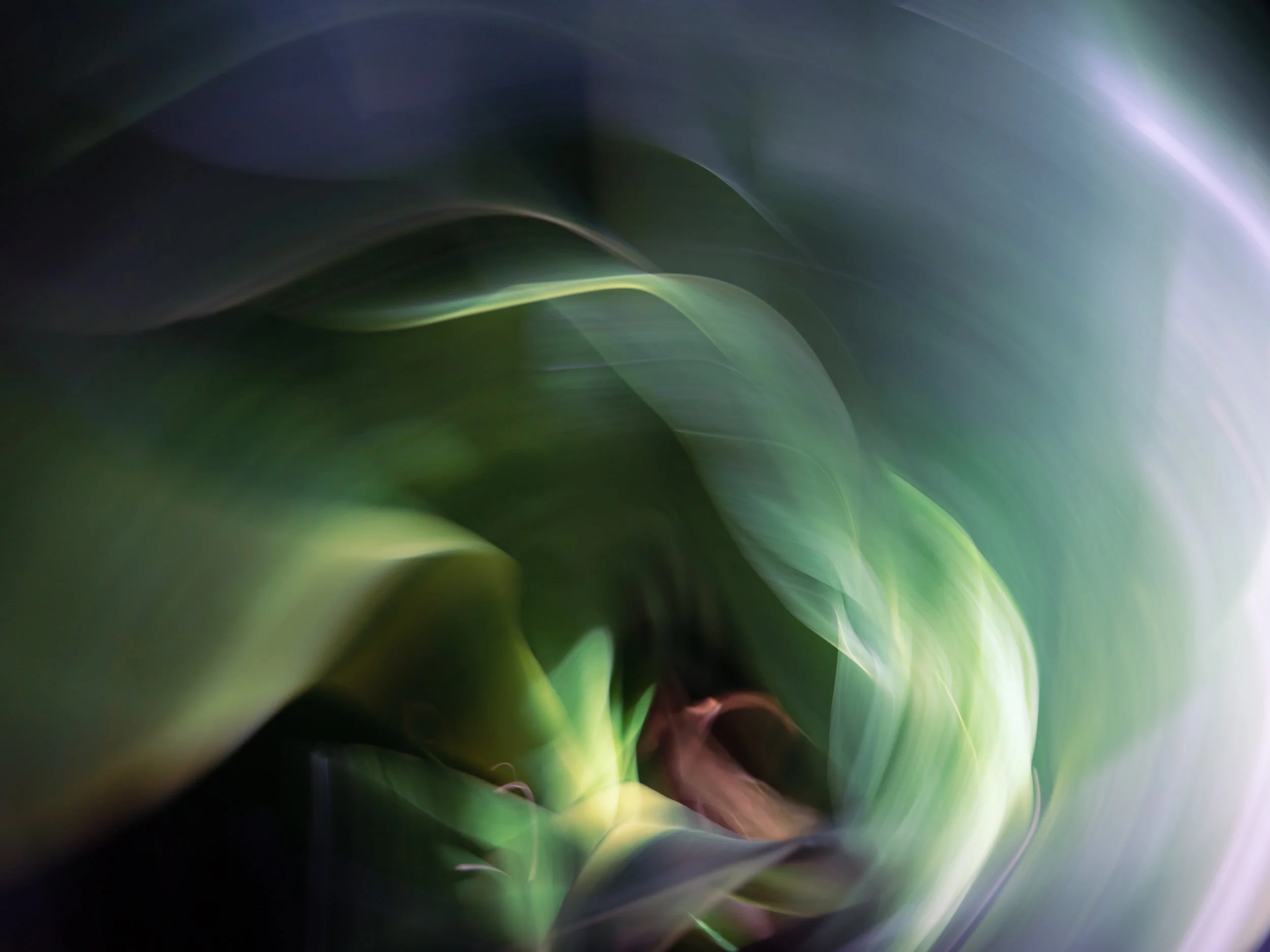 A Delicate Dance of Colors, 2021