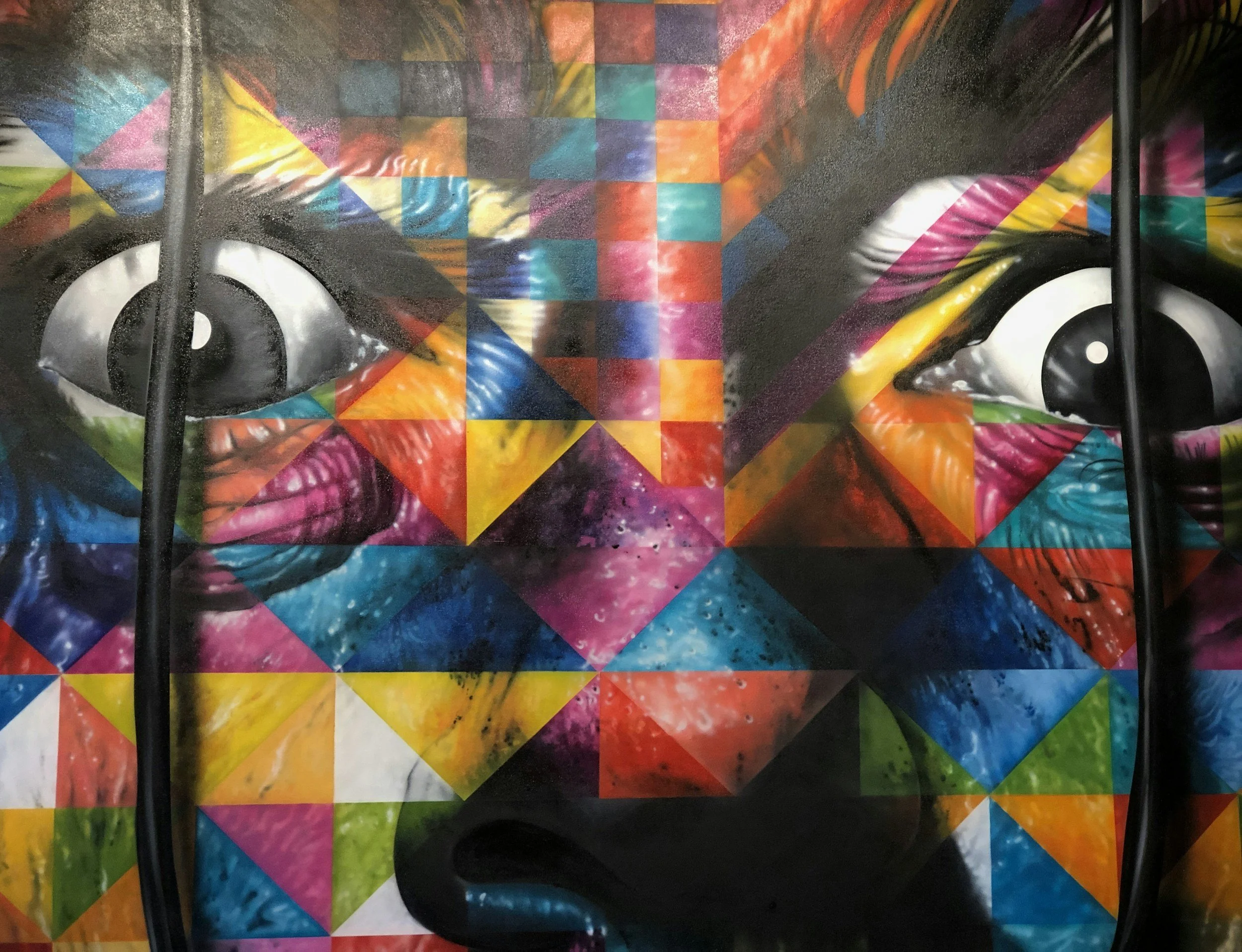 A colorful mural of a woman's face rendered in geometric shapes with vibrant colors. The mural prominently features her eyes, nose, and lips, with the background composed of an intricate pattern of small, multicolored squares.