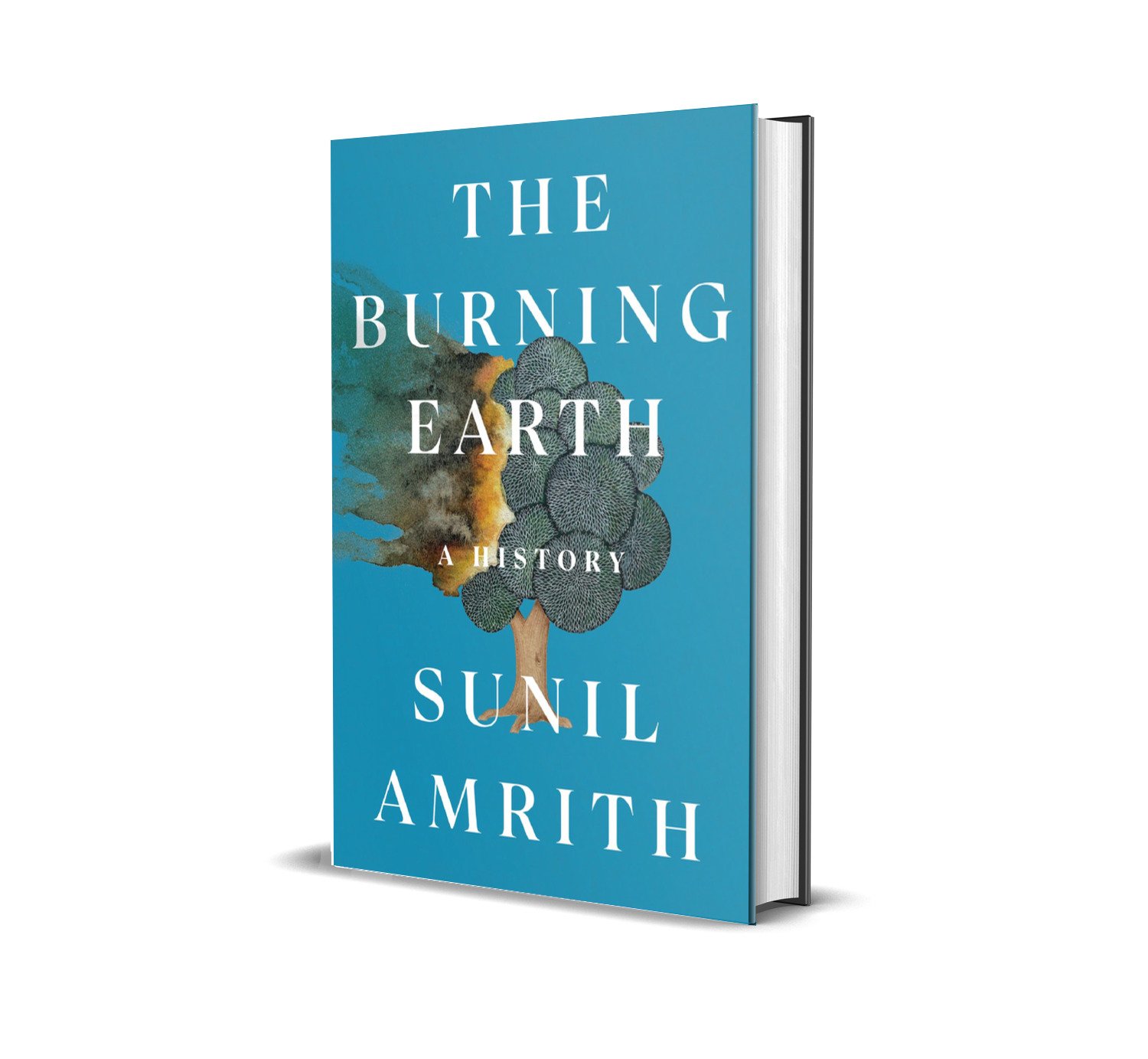 The Burning Earth: An Environmental History of the Last 500 Years by Sunil Amrith