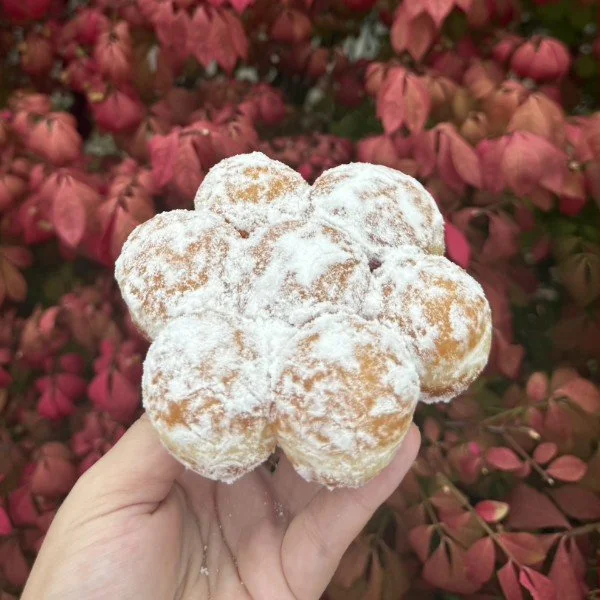 powdered-sugar-hole-bunch.jpg