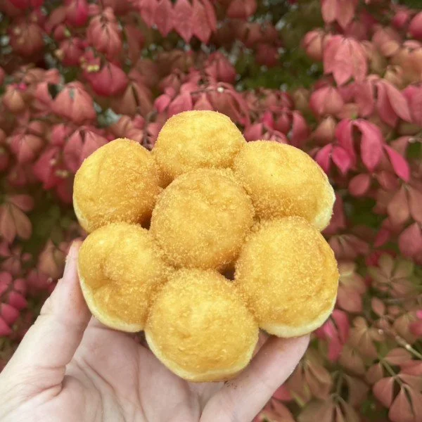 maple-sugar-hole-bunch.jpg