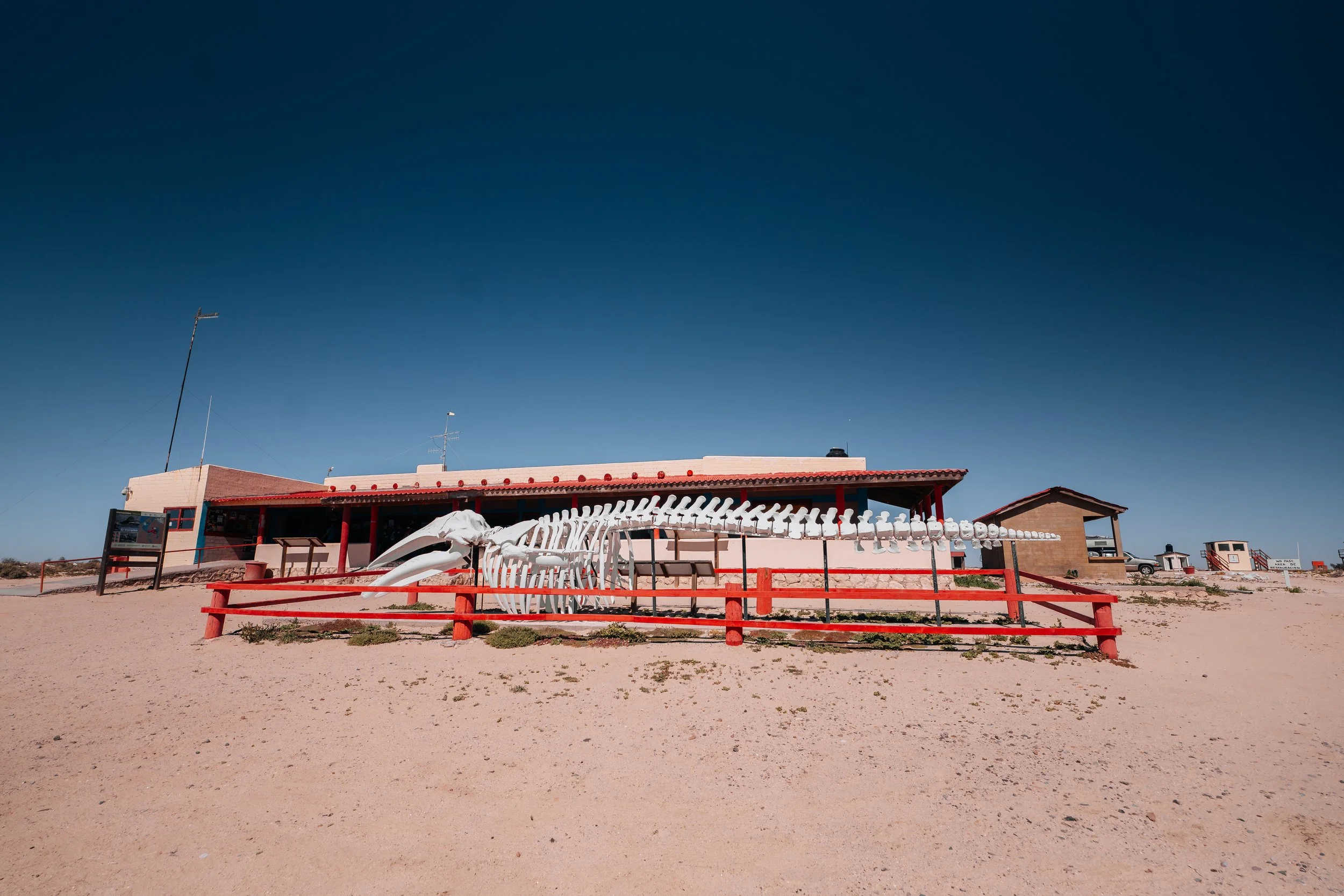 Morro-32.jpg