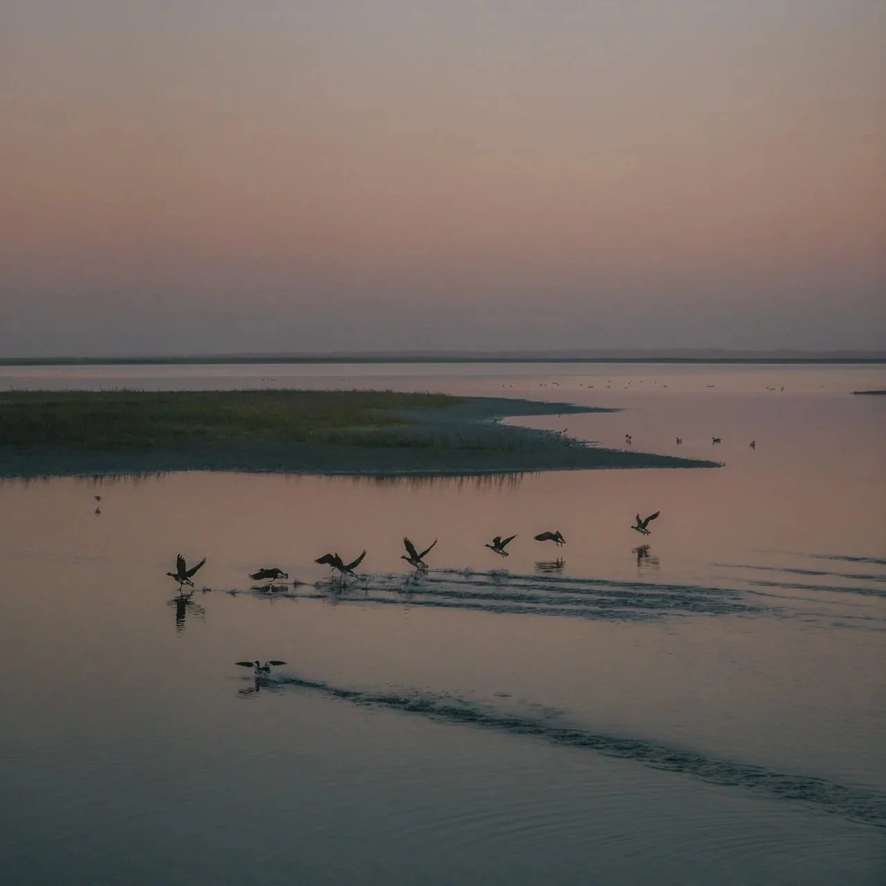Avistamiento de ballena gris en Guerrero Negro, Baja California Sur

Tour de ballena gris con prestadores turísticos locales en Guerrero Negro

Guerrero Negro B.C.S., destino de ballena gris y turismo comunitario

Prestadores de servicios turísticos