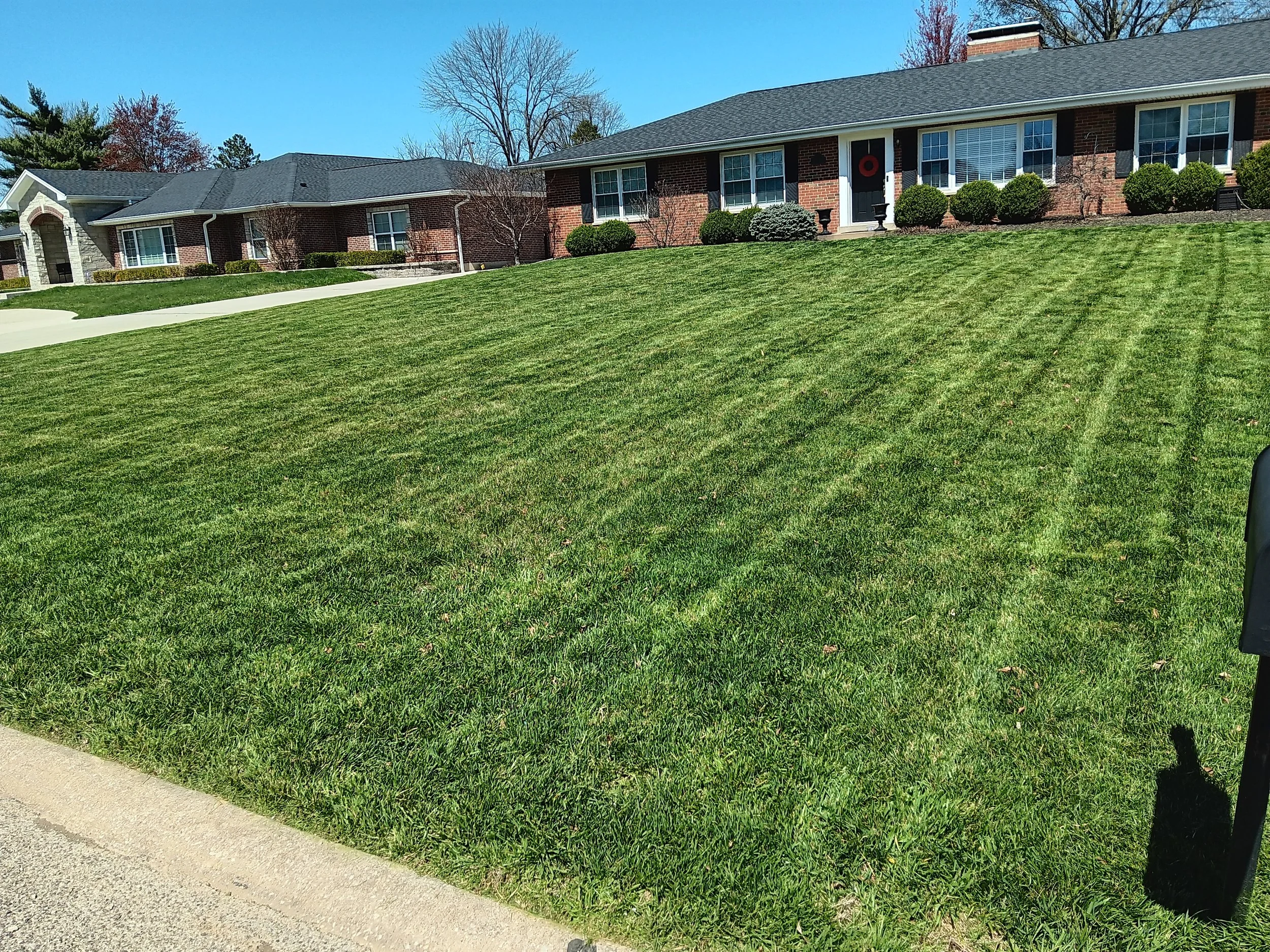 Well-maintained green lawn in front of a row of brick houses with trees and bushes, under a clear blue sky.
