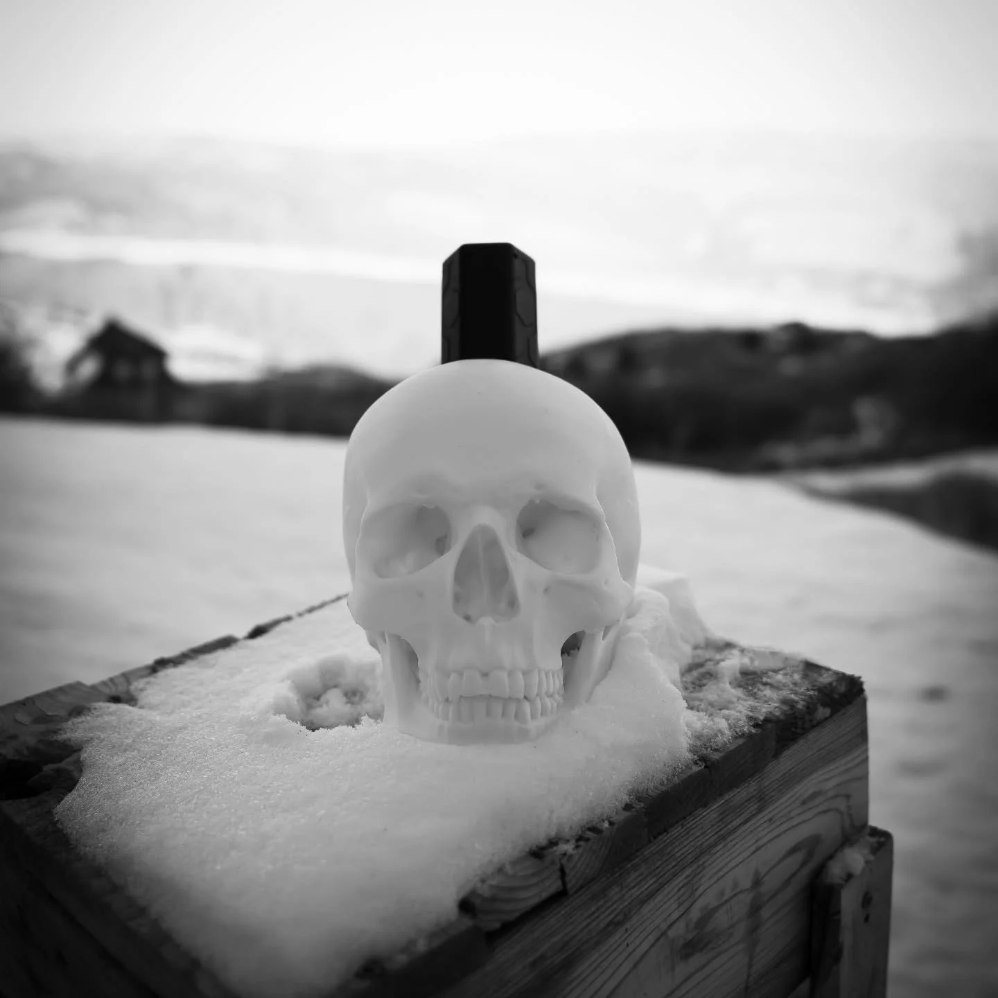 Castle Gray Skull holds the key to silence