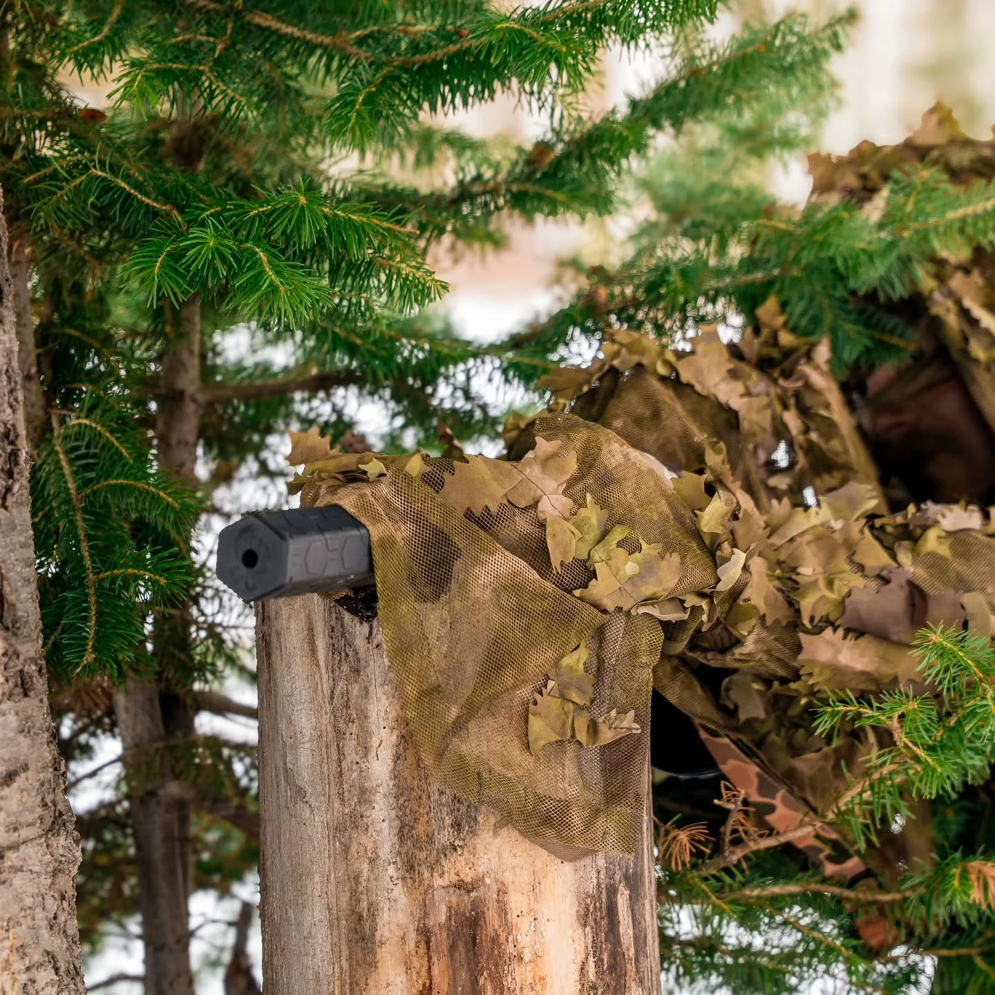 Move in silence

@unorthodoxsupression