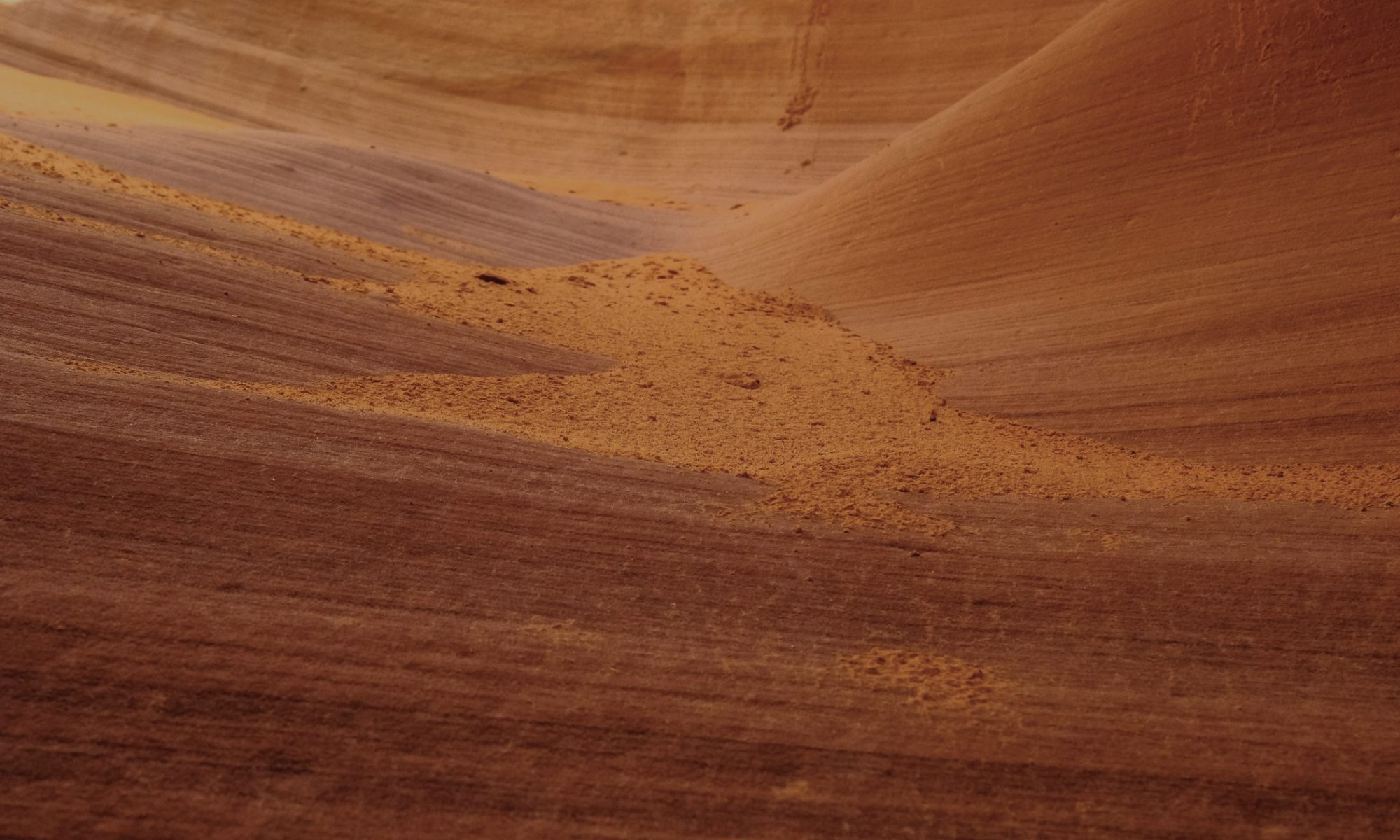 Close-up of a curved wooden surface with a small pile of reddish-brown spice or powder on it.