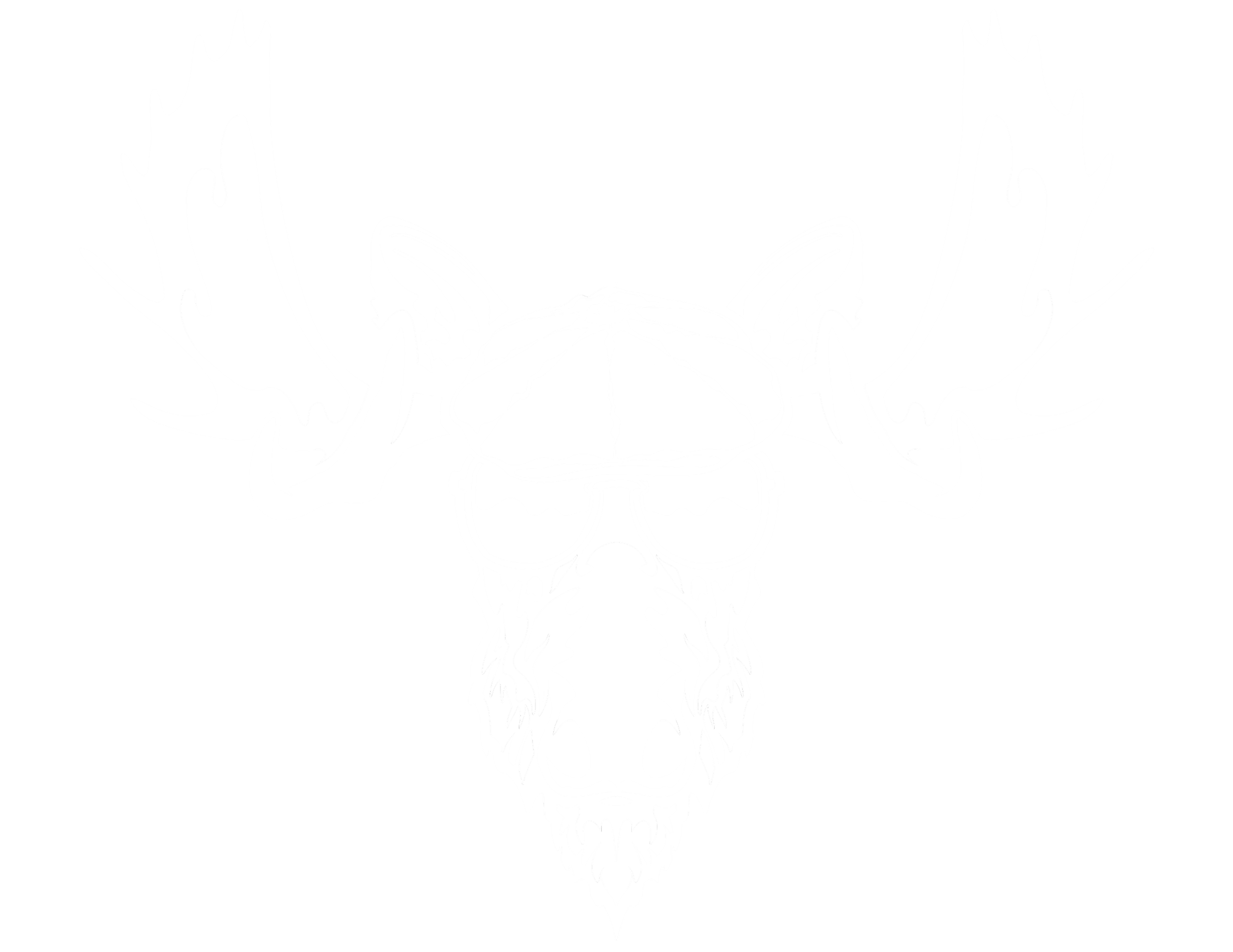 Black and white illustration of a moose skull wearing sunglasses with a moth resting on top of it.