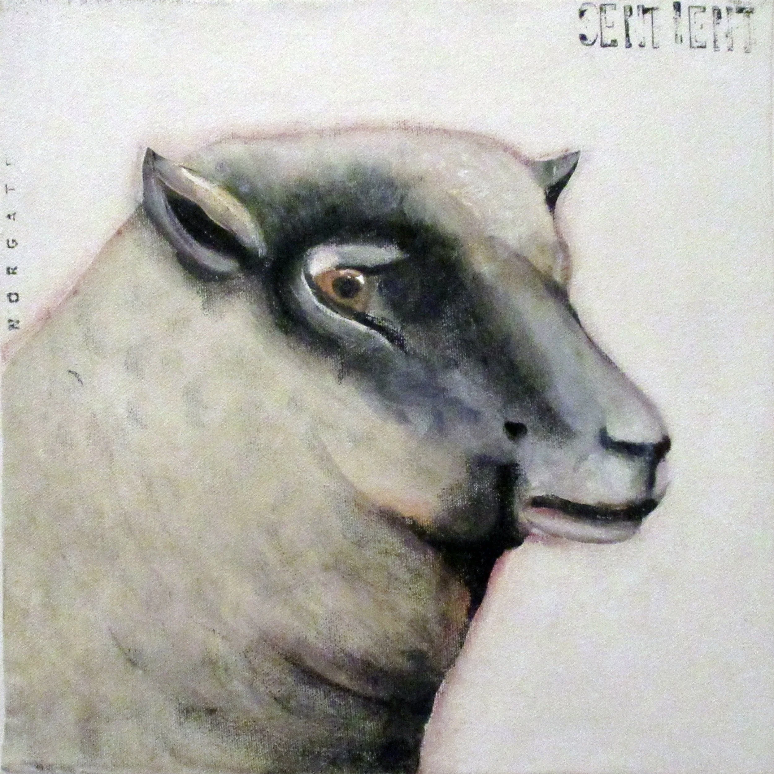 2016 sentient (sheep).jpg