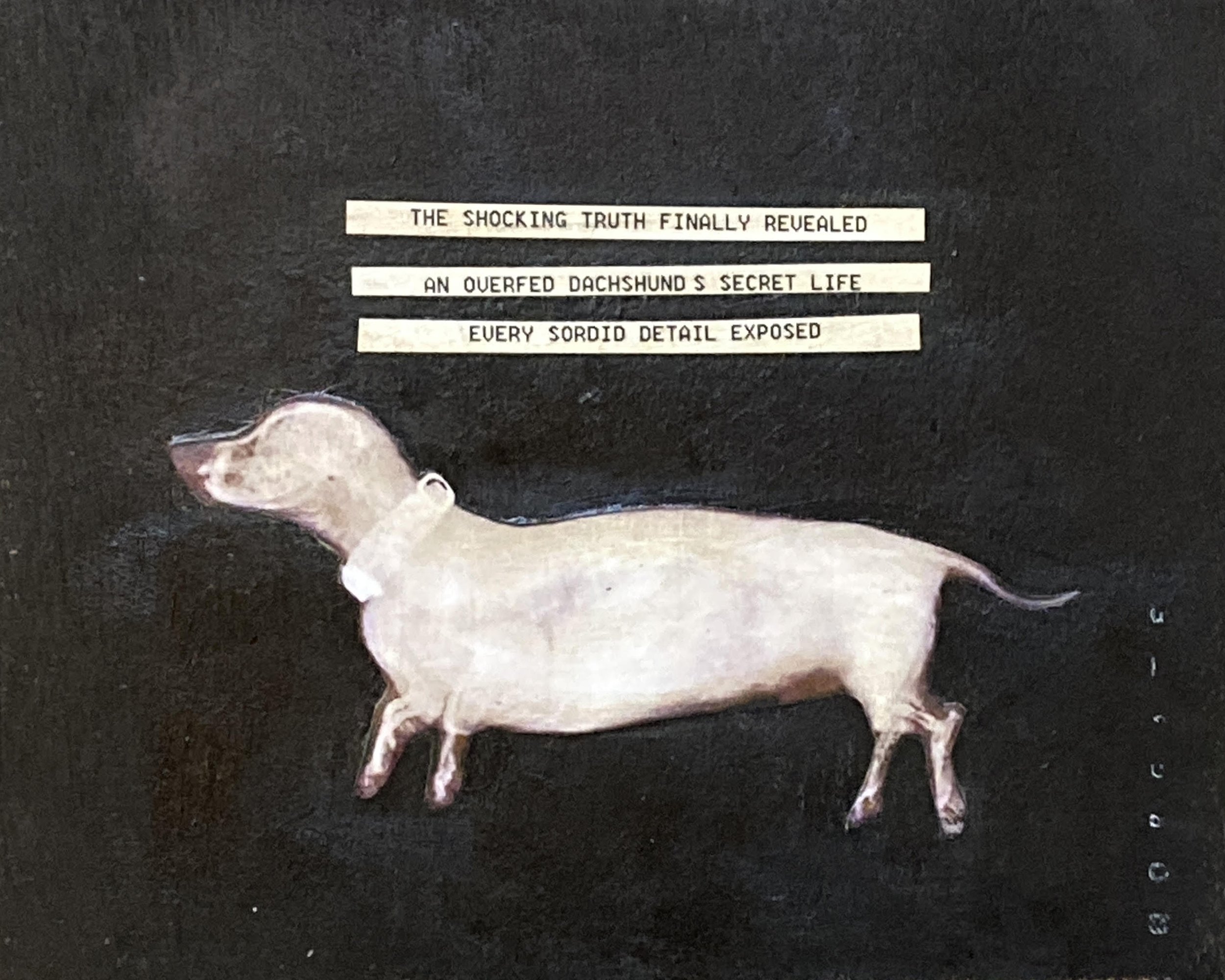 250 an overfed dachshund 65.jpg