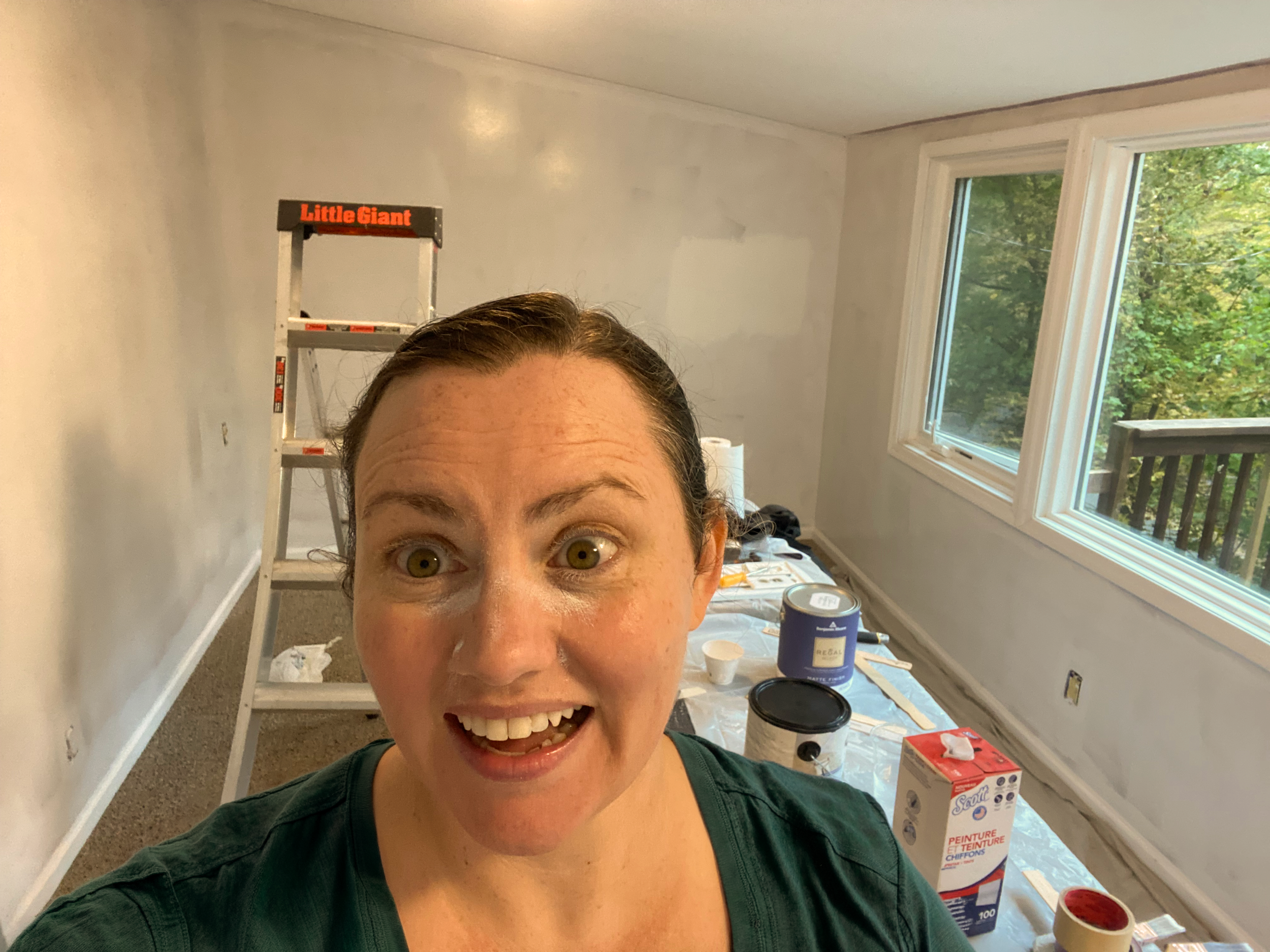 remodeling roi