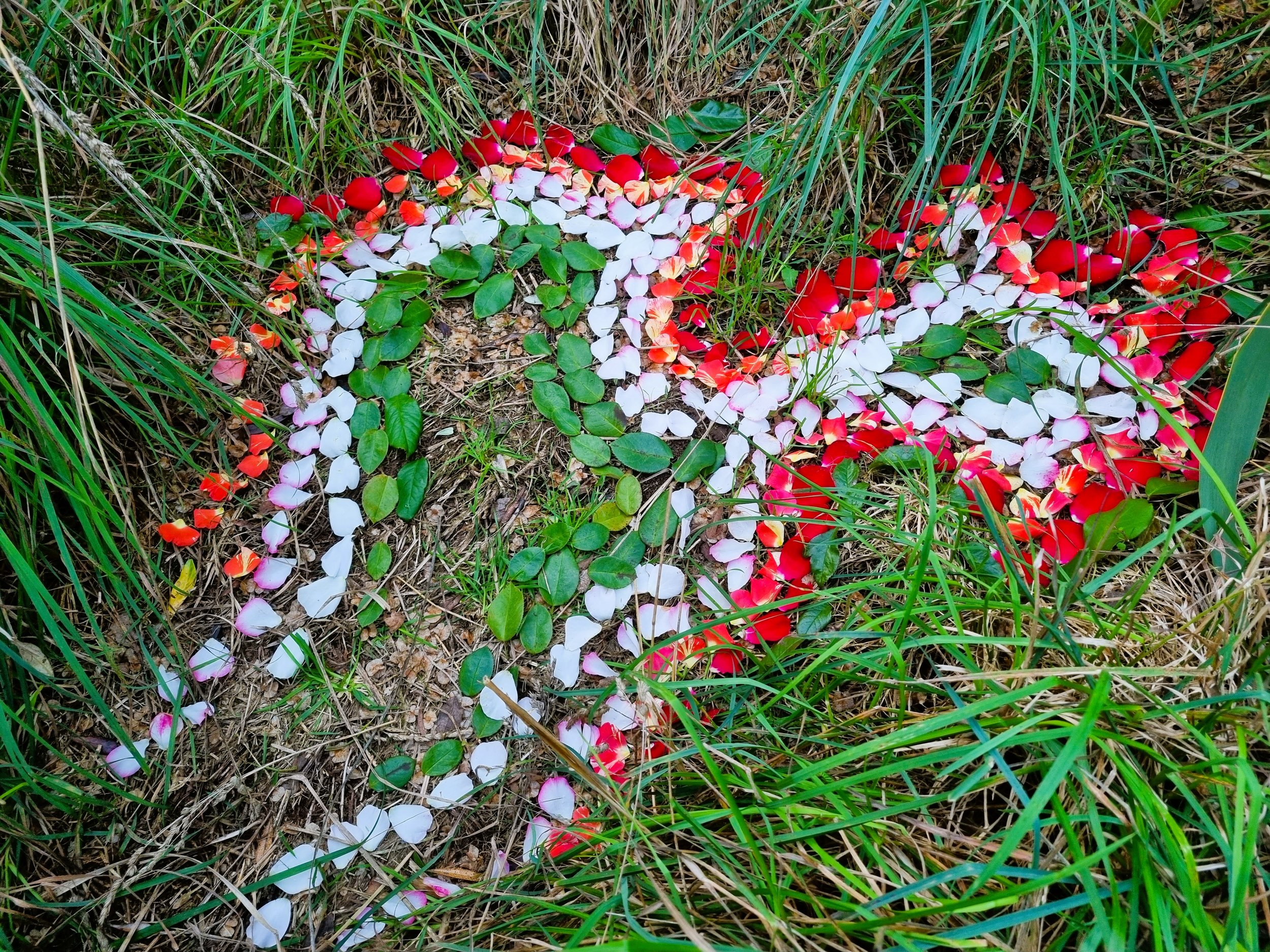 A cross shape on the ground made from white, pink, and red flower petals surrounded by green grass and dried brown grass.