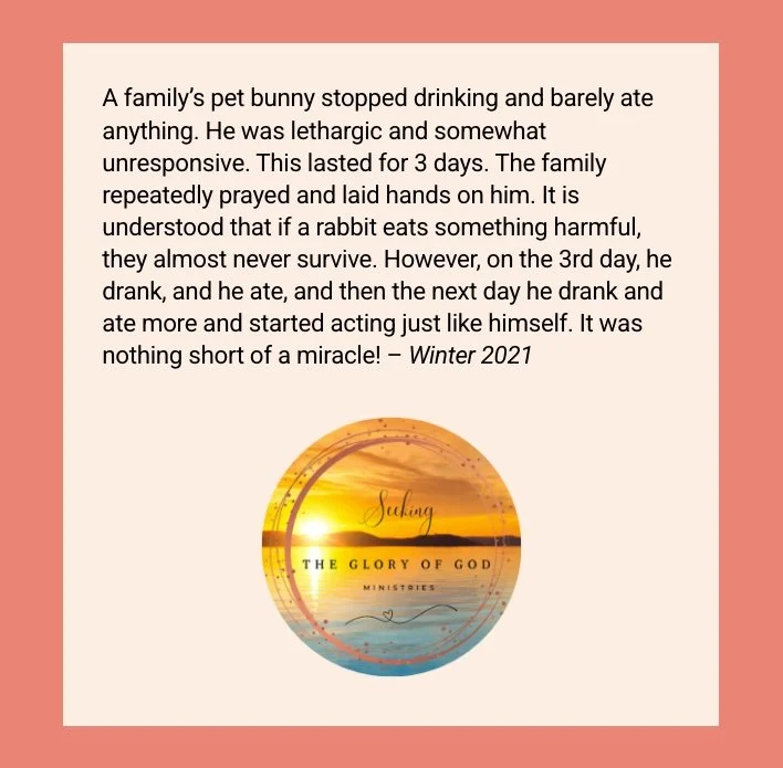 SGGM Testimony 6.jpg