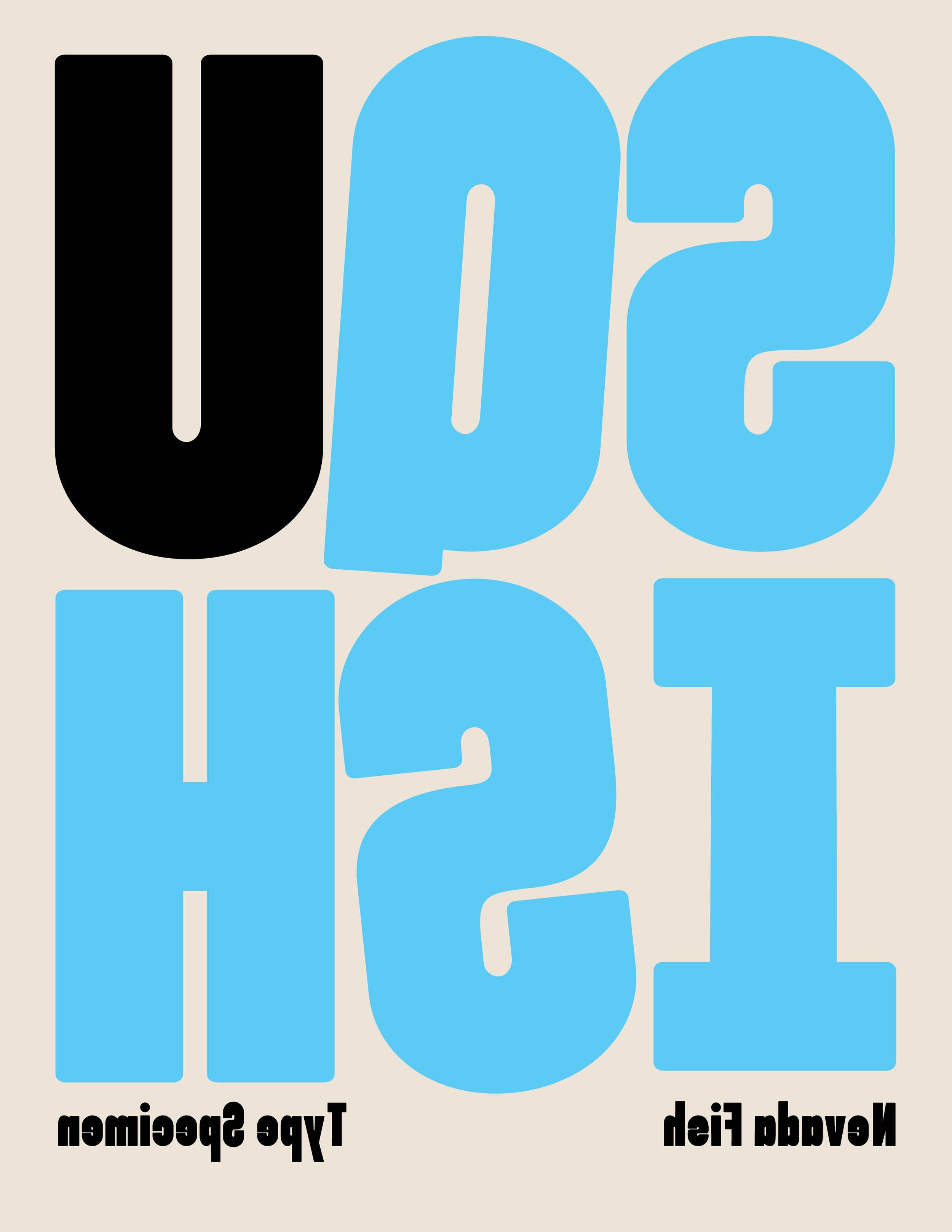 TypeSpecimen_NFish9.jpg