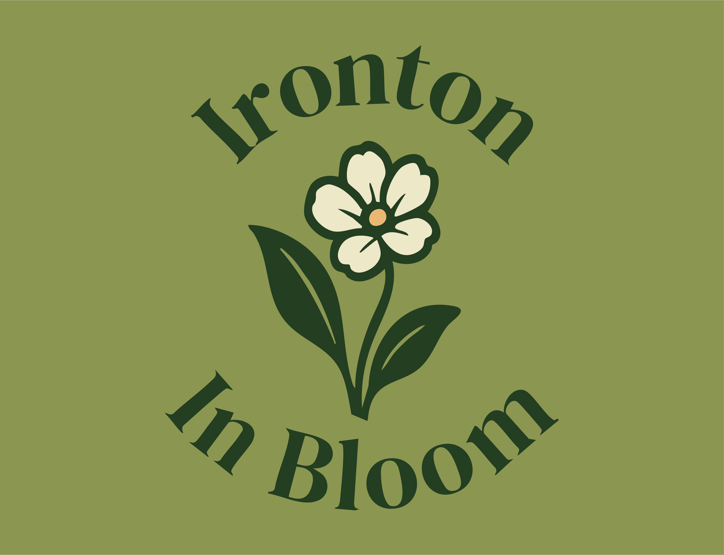IIBWebsite6.png