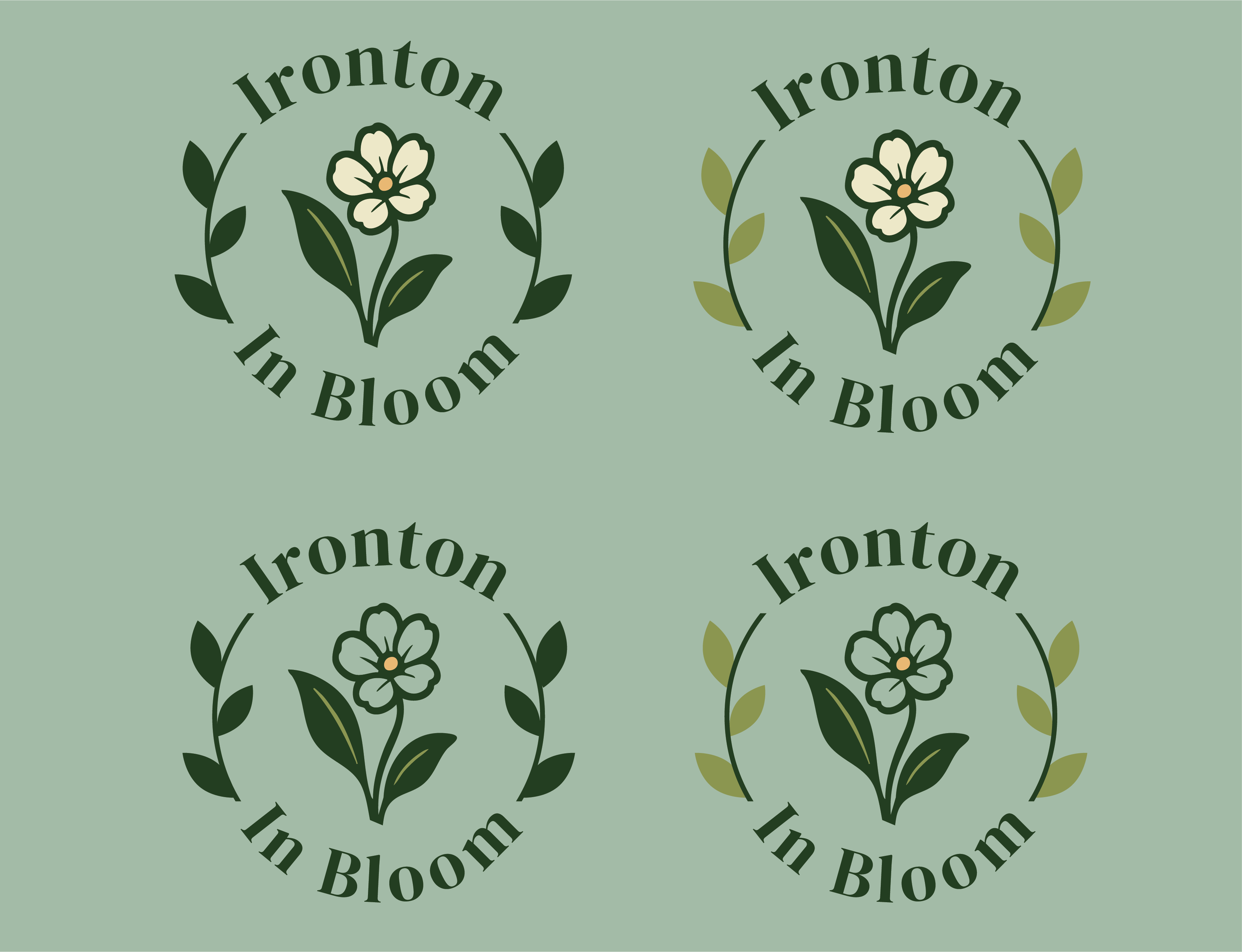 IIBWebsite5.png